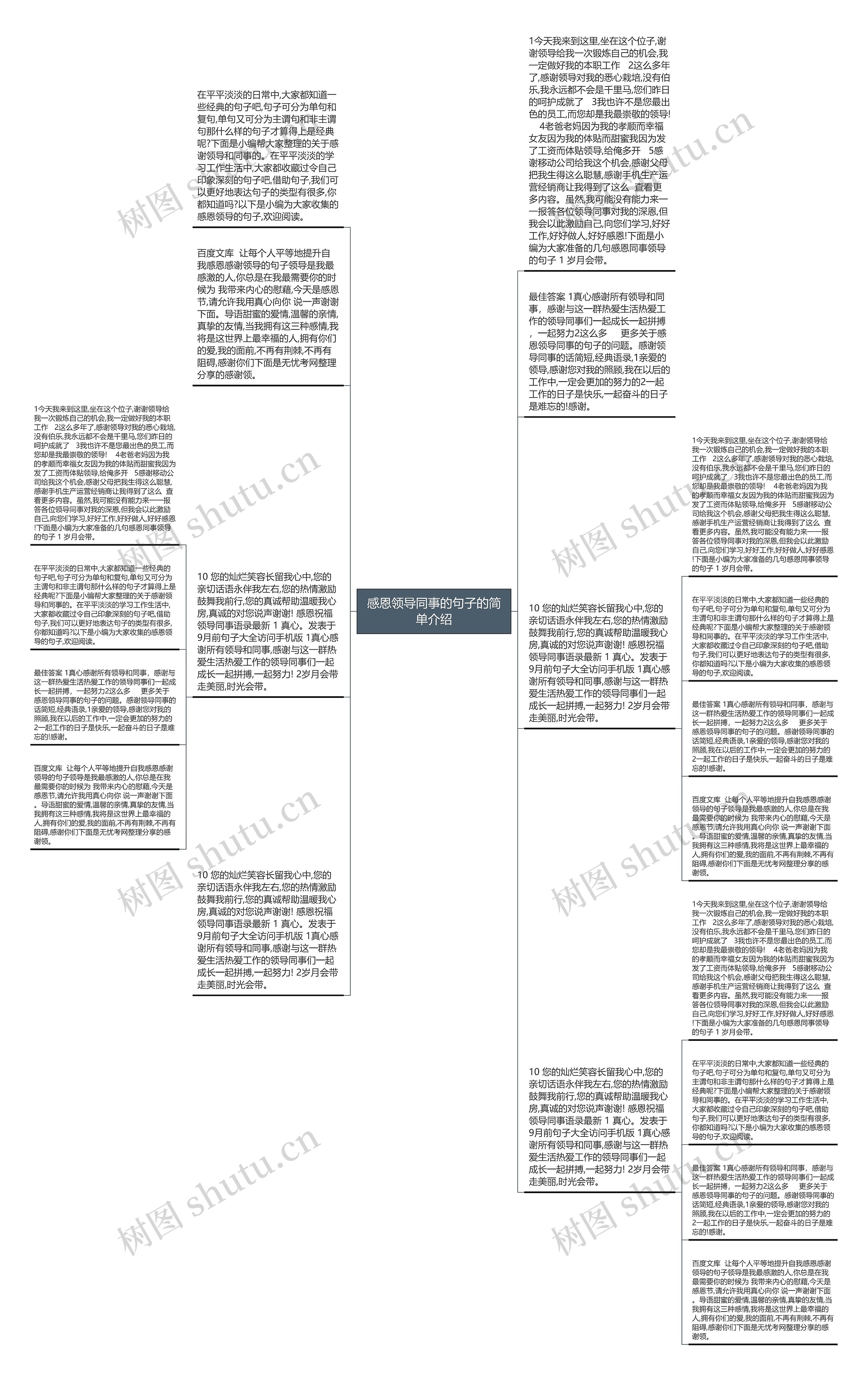 感恩领导同事的句子的简单介绍思维导图