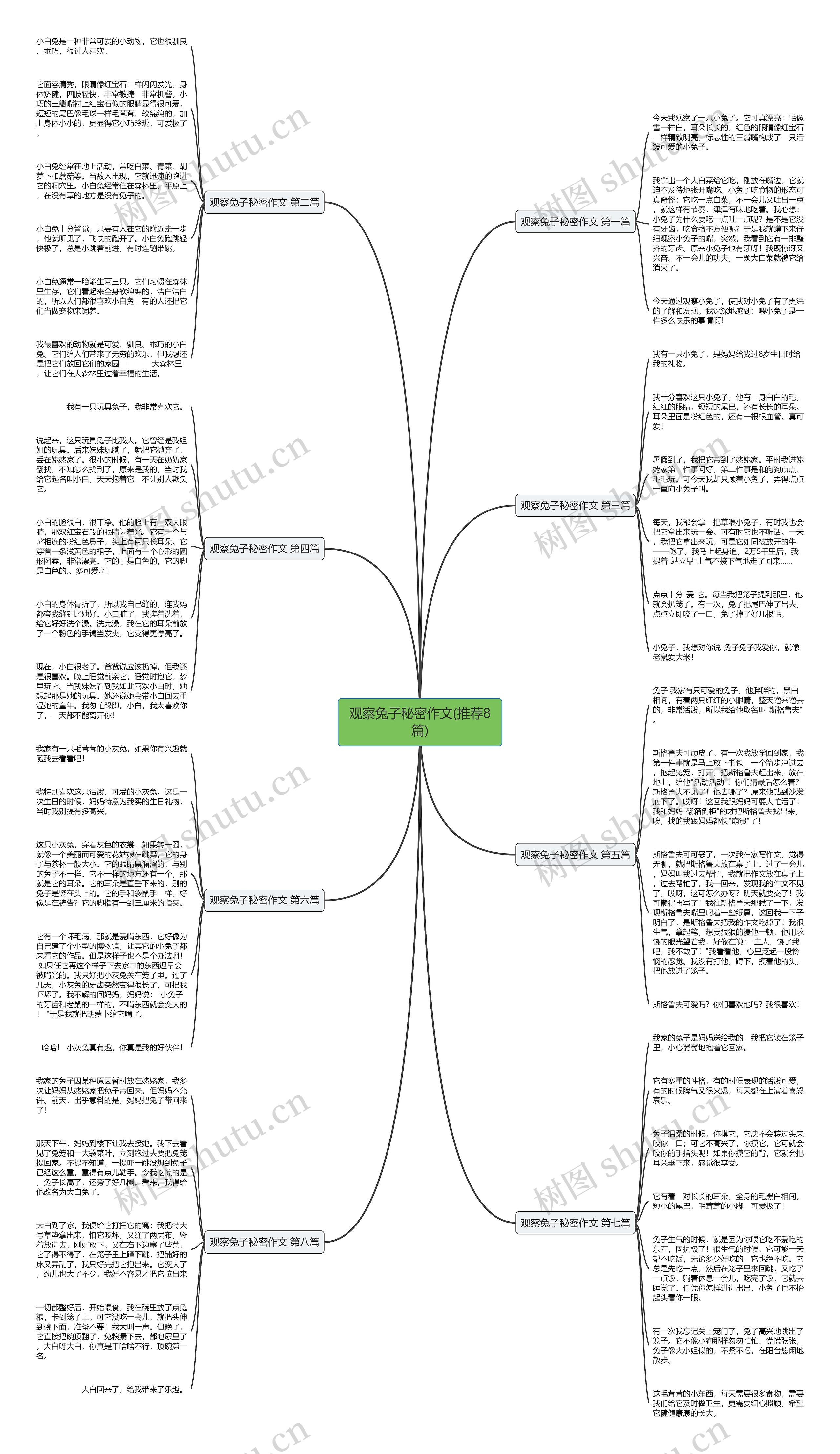 观察兔子秘密作文(推荐8篇)思维导图