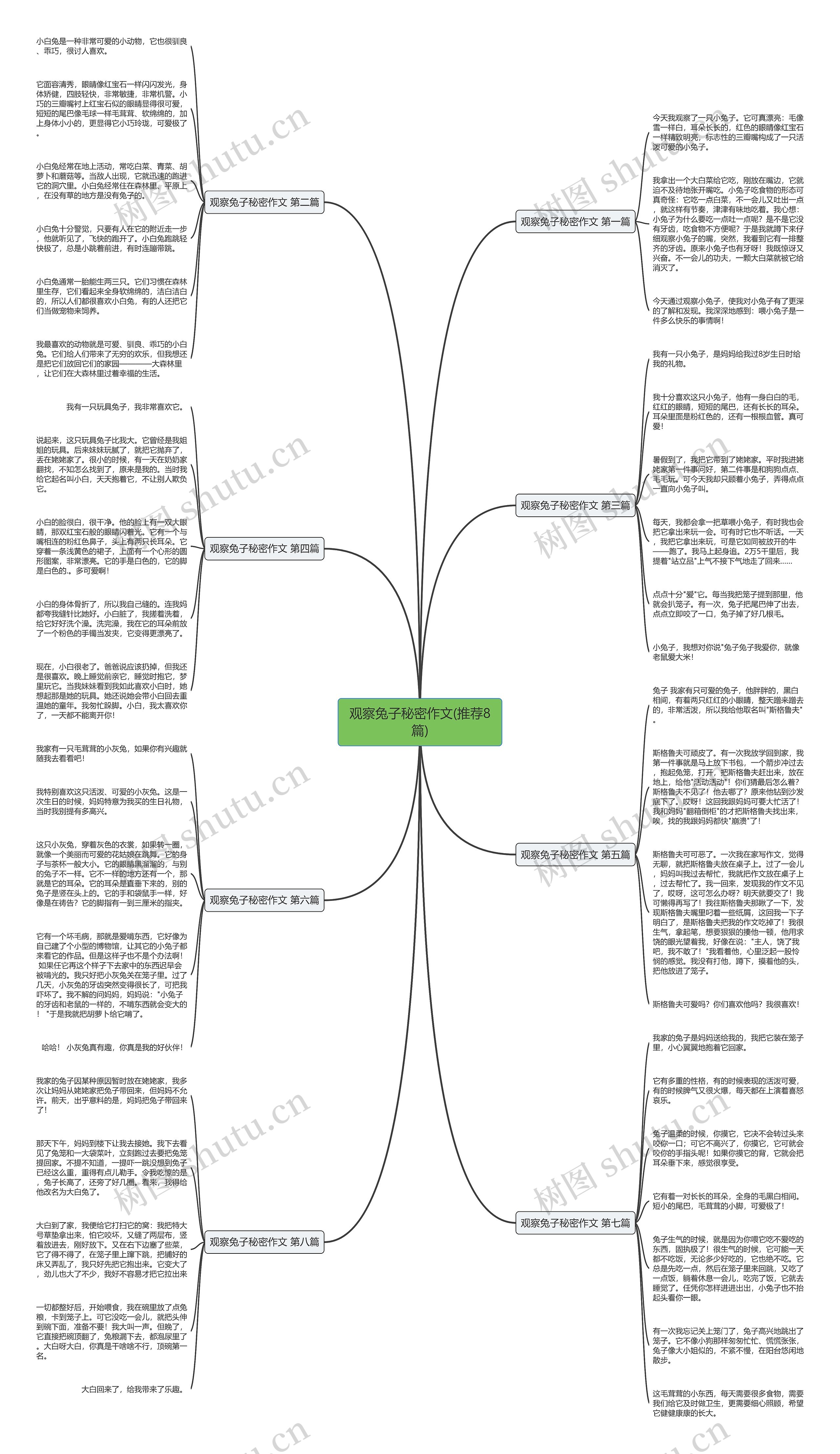 观察兔子秘密作文(推荐8篇) 观察兔子秘密作文(推荐8篇)