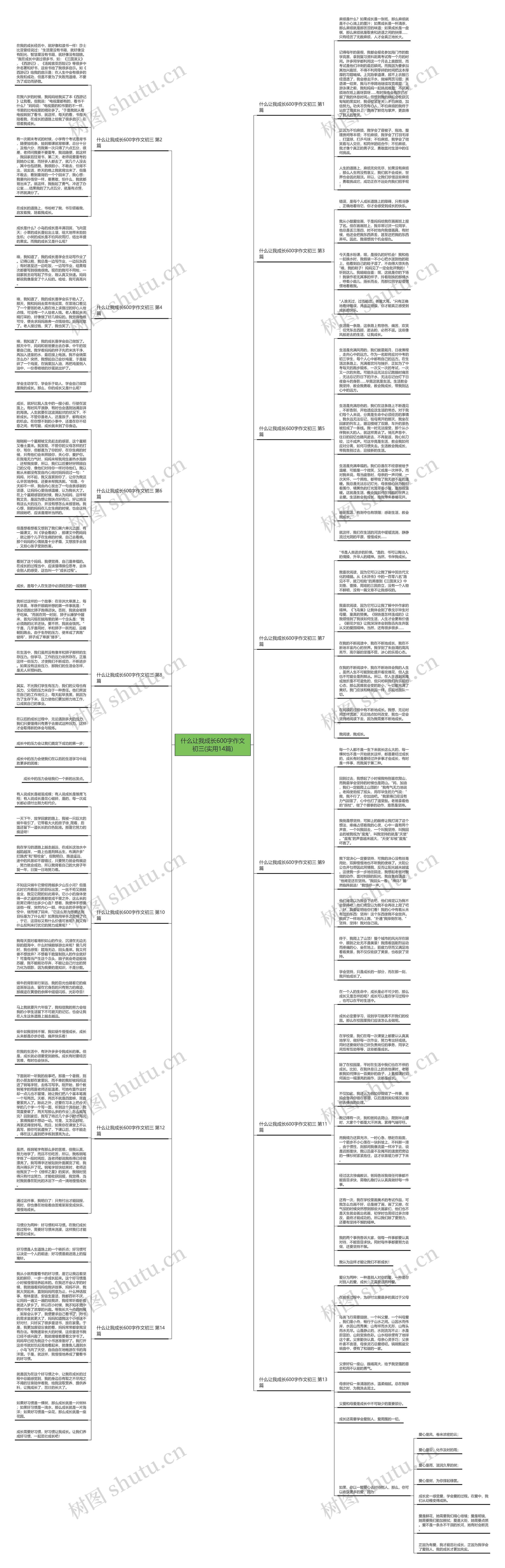 什么让我成长600字作文初三(实用14篇)思维导图