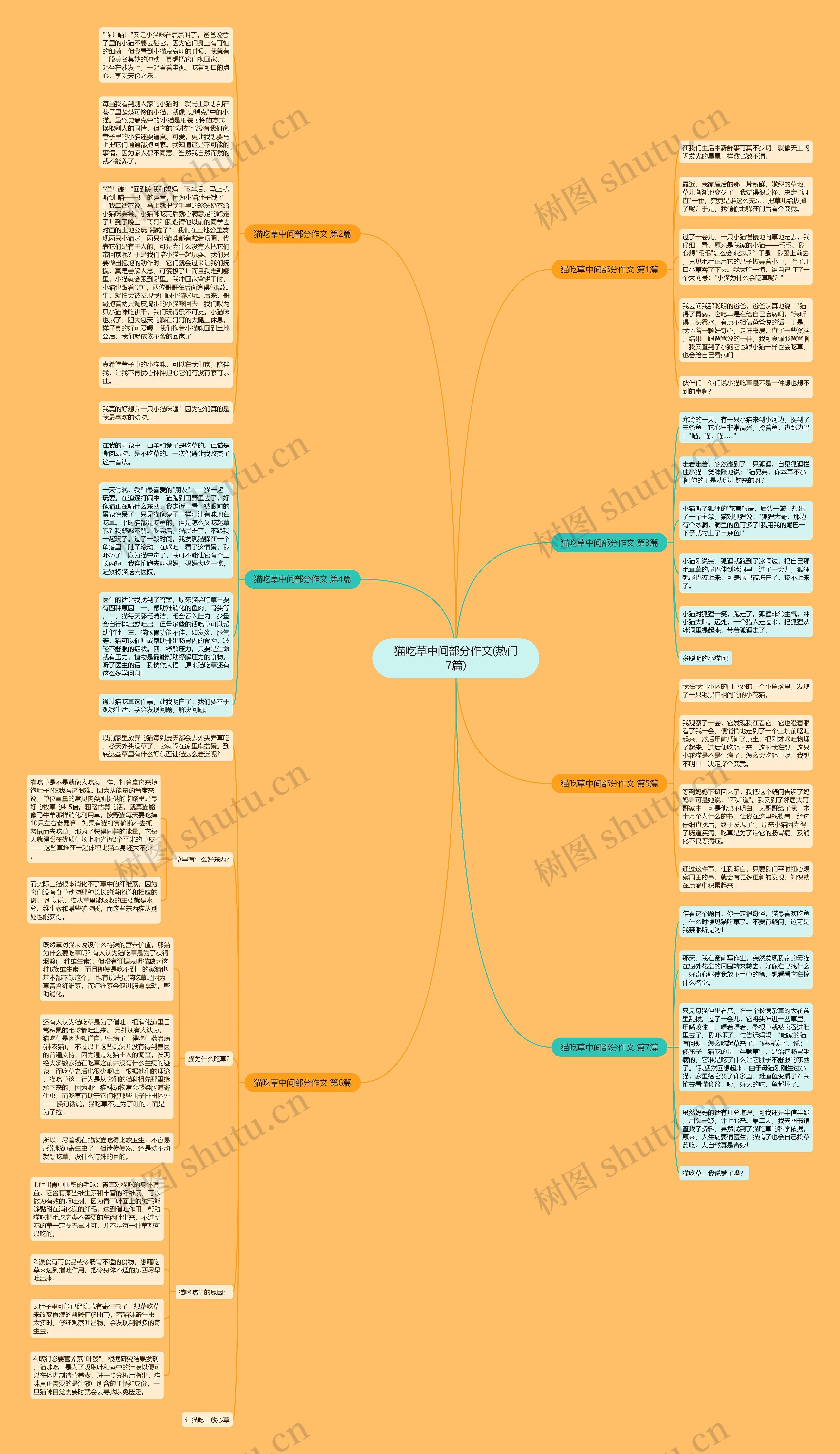 猫吃草中间部分作文(热门7篇)思维导图