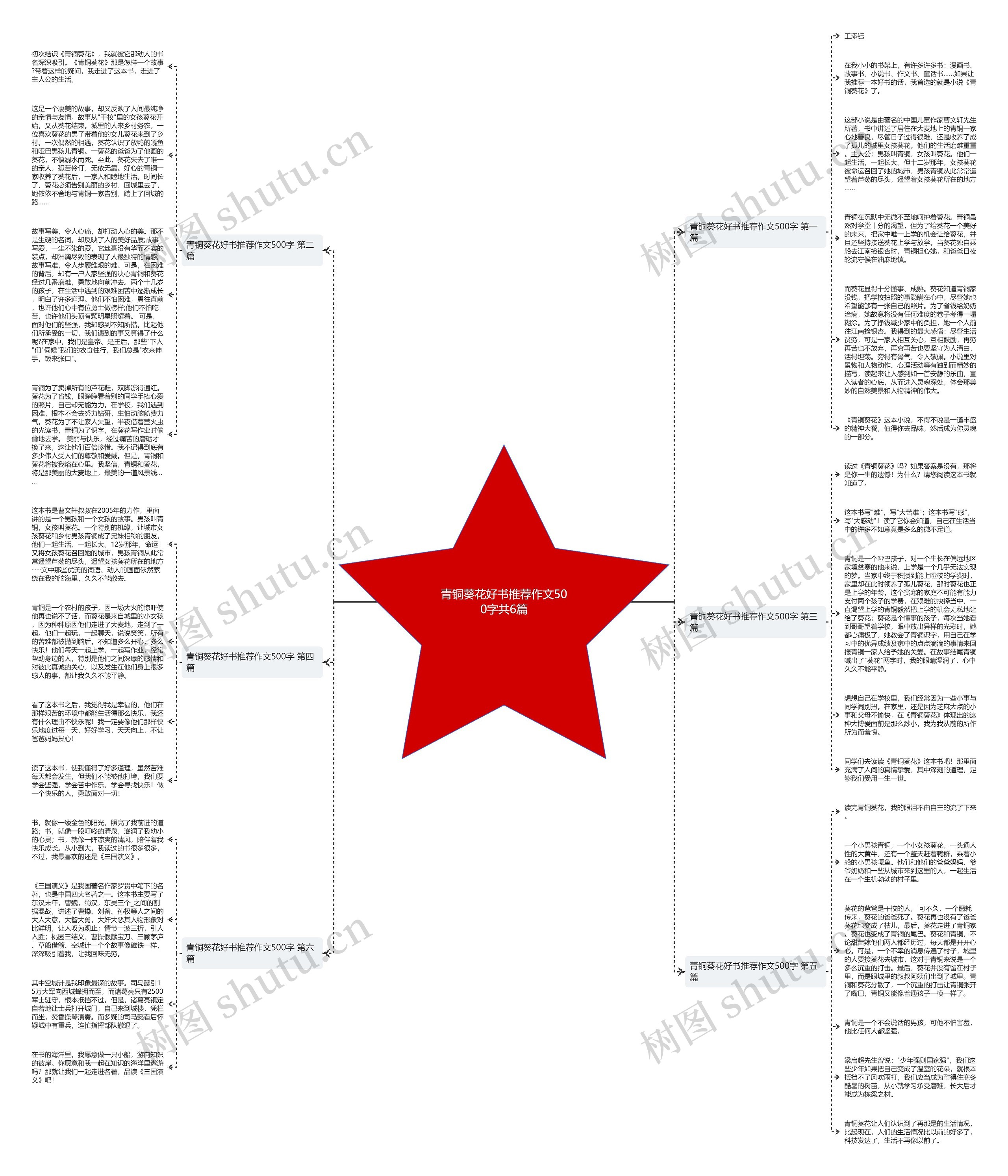青铜葵花好书推荐作文500字共6篇思维导图
