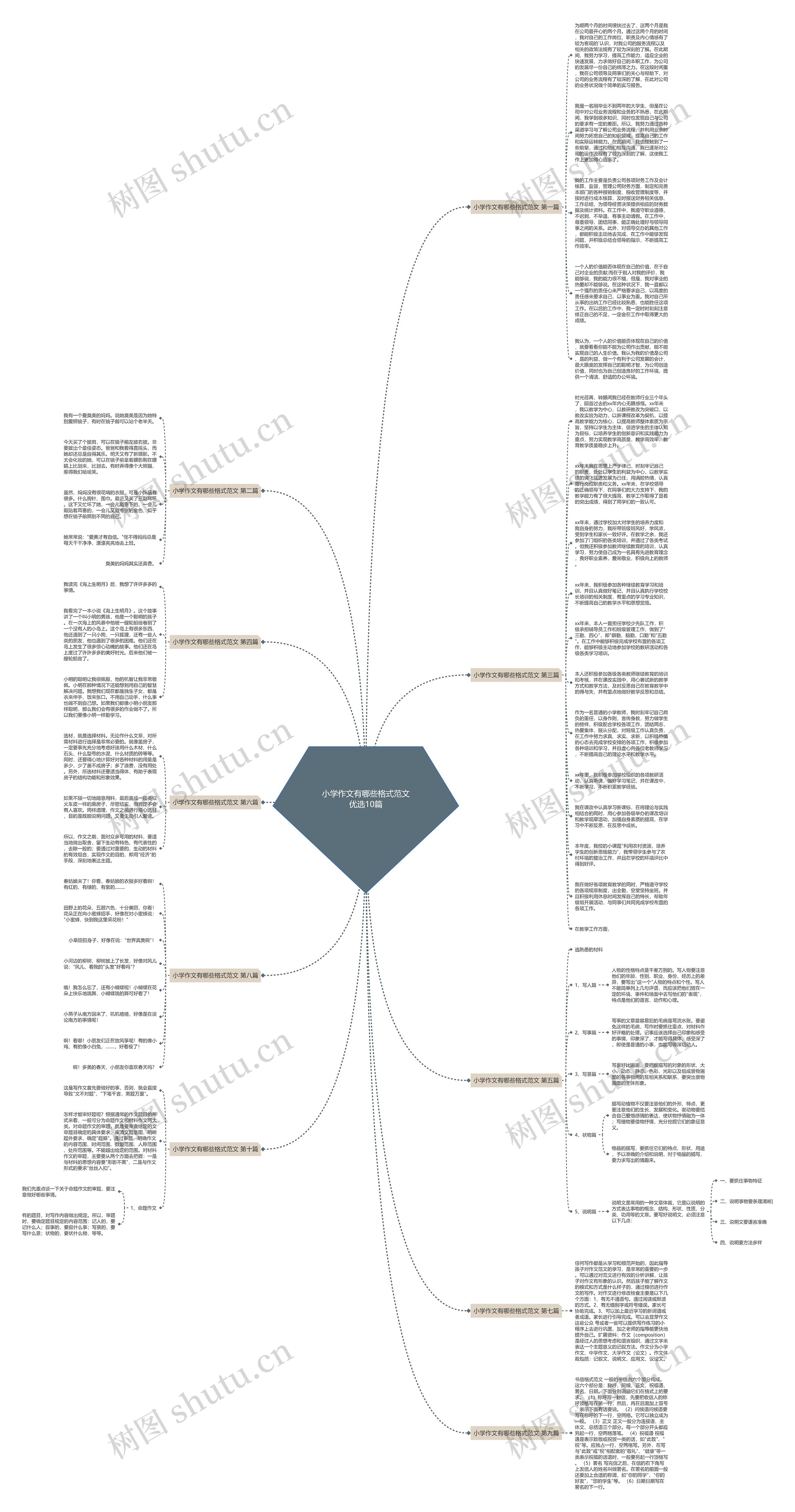小学作文有哪些格式范文优选10篇思维导图
