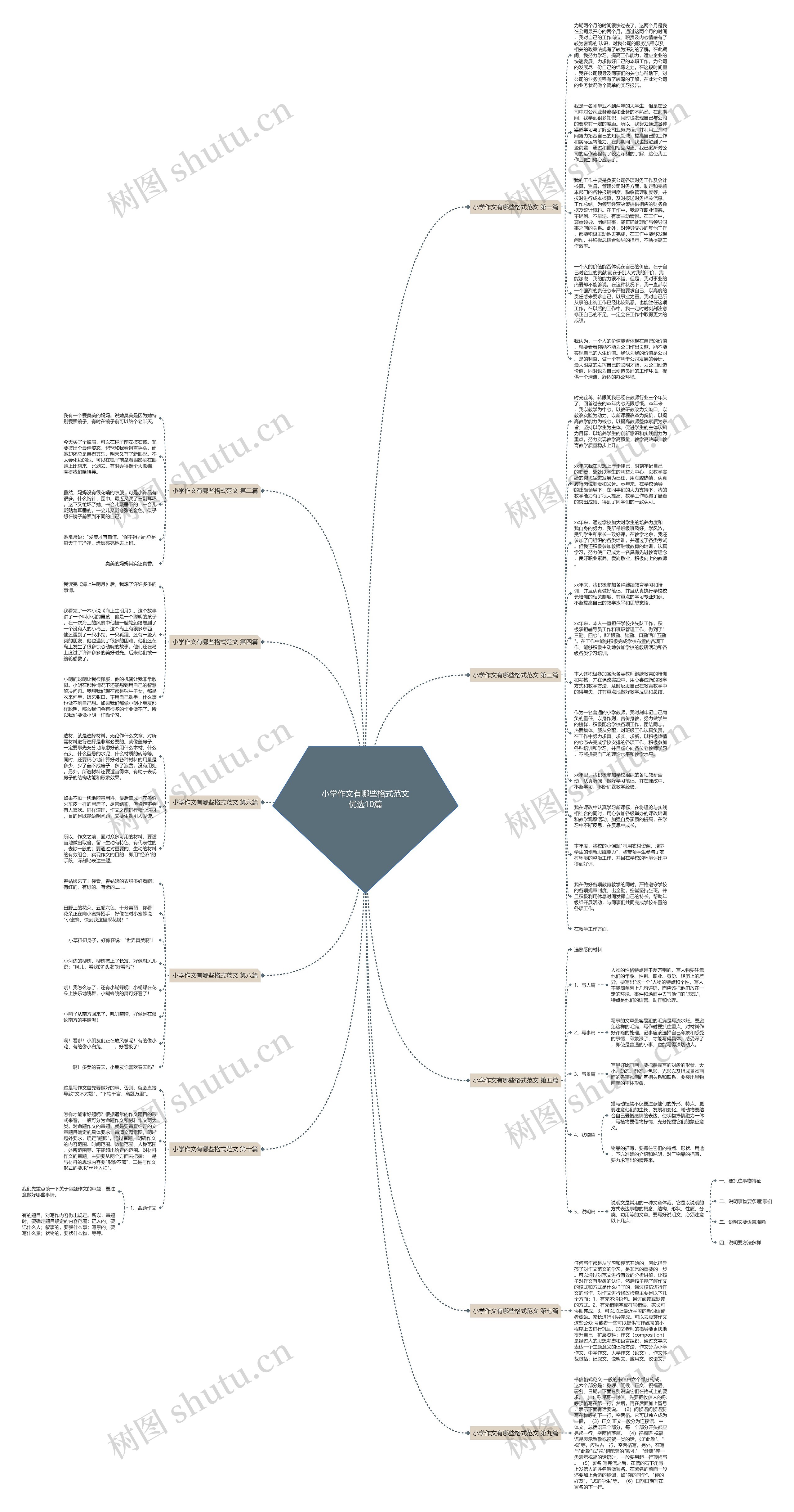 小学作文有哪些格式范文优选10篇思维导图高清图 小学作文有哪些格式范文优选10篇思维导图