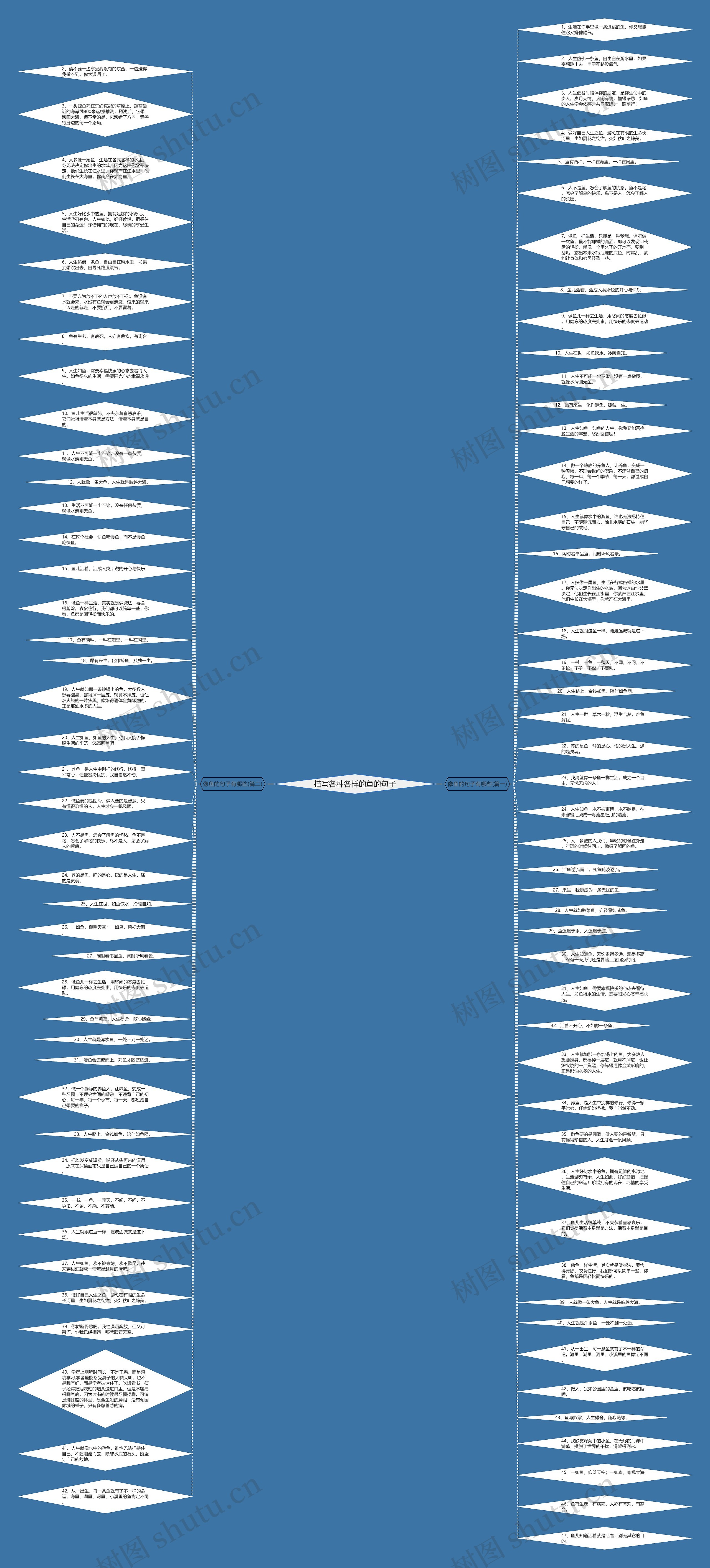 描写各种各样的鱼的句子思维导图