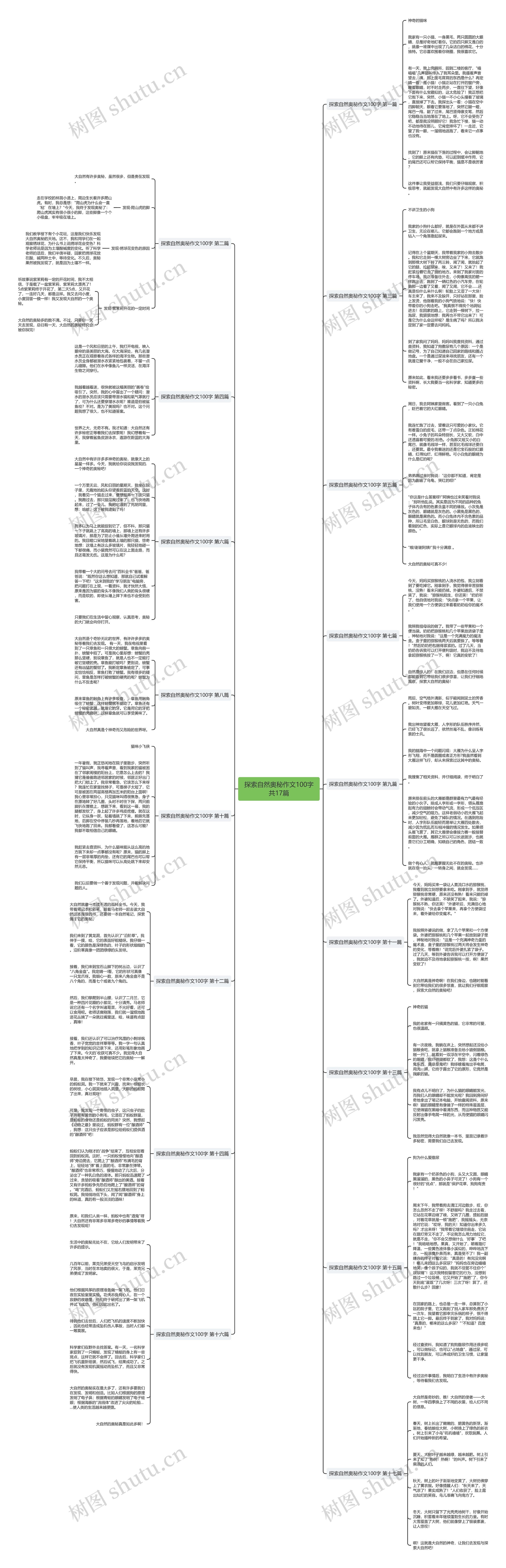 探索自然奥秘作文100字共17篇思维导图