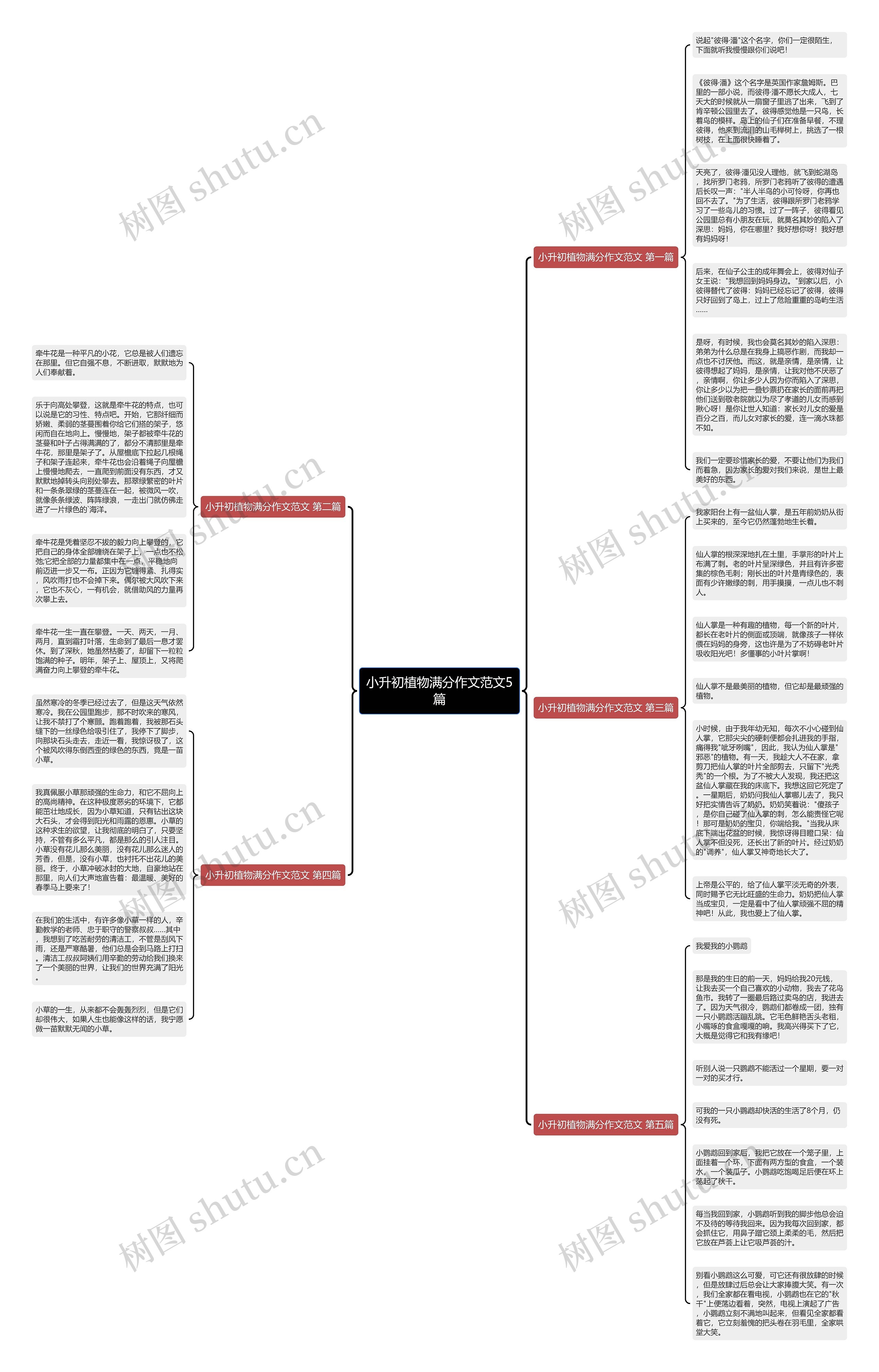 小升初植物满分作文范文5篇思维导图