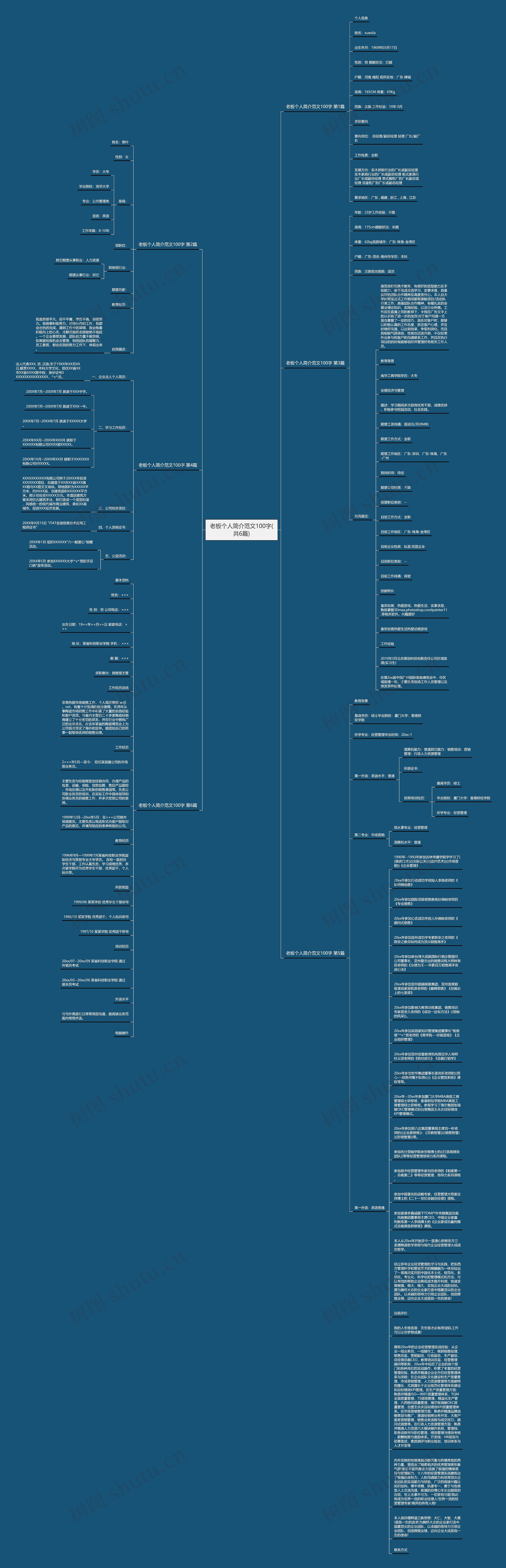 老板个人简介范文100字(共6篇)思维导图