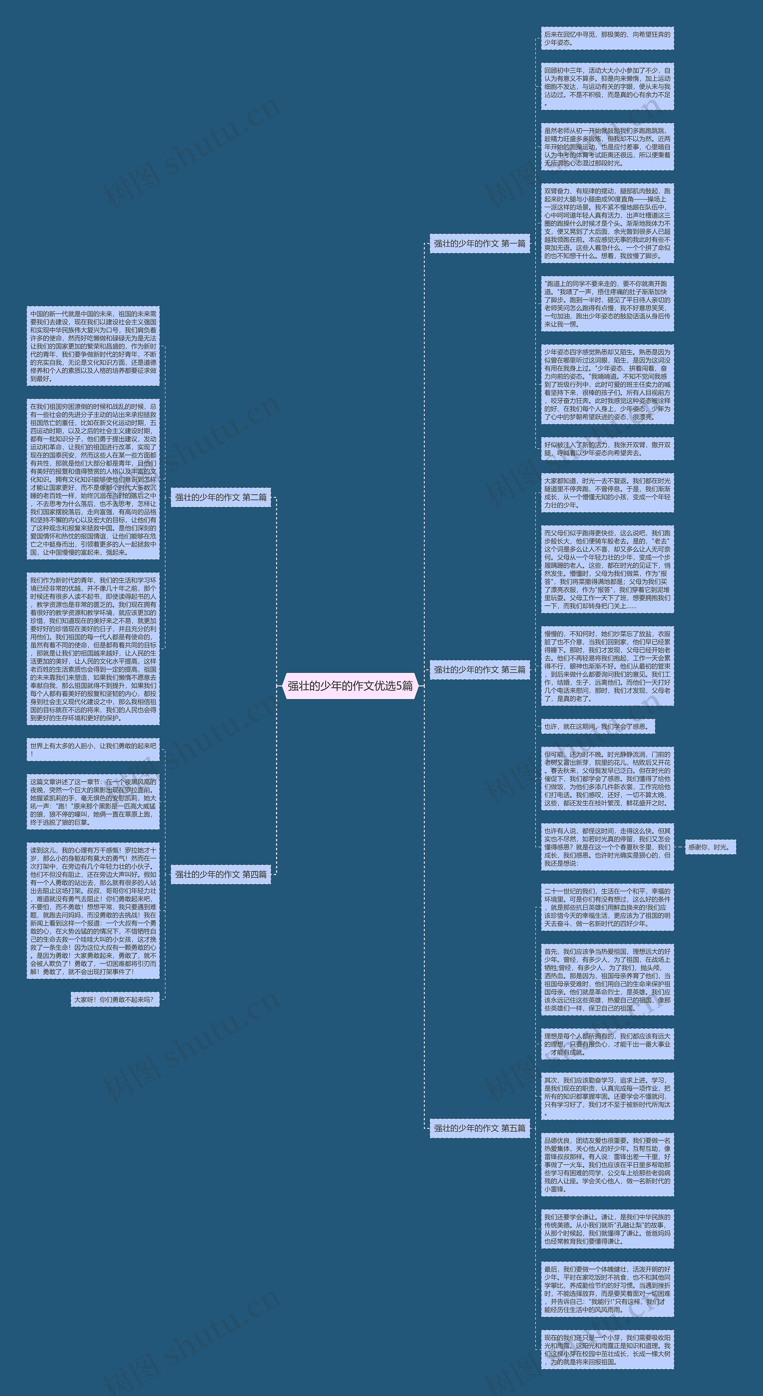 强壮的少年的作文优选5篇思维导图