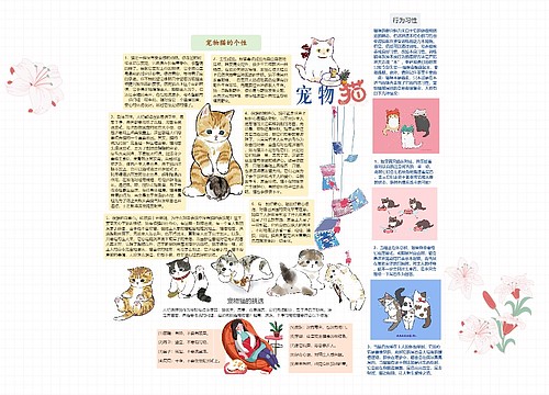 宠物猫思维导图思维导图