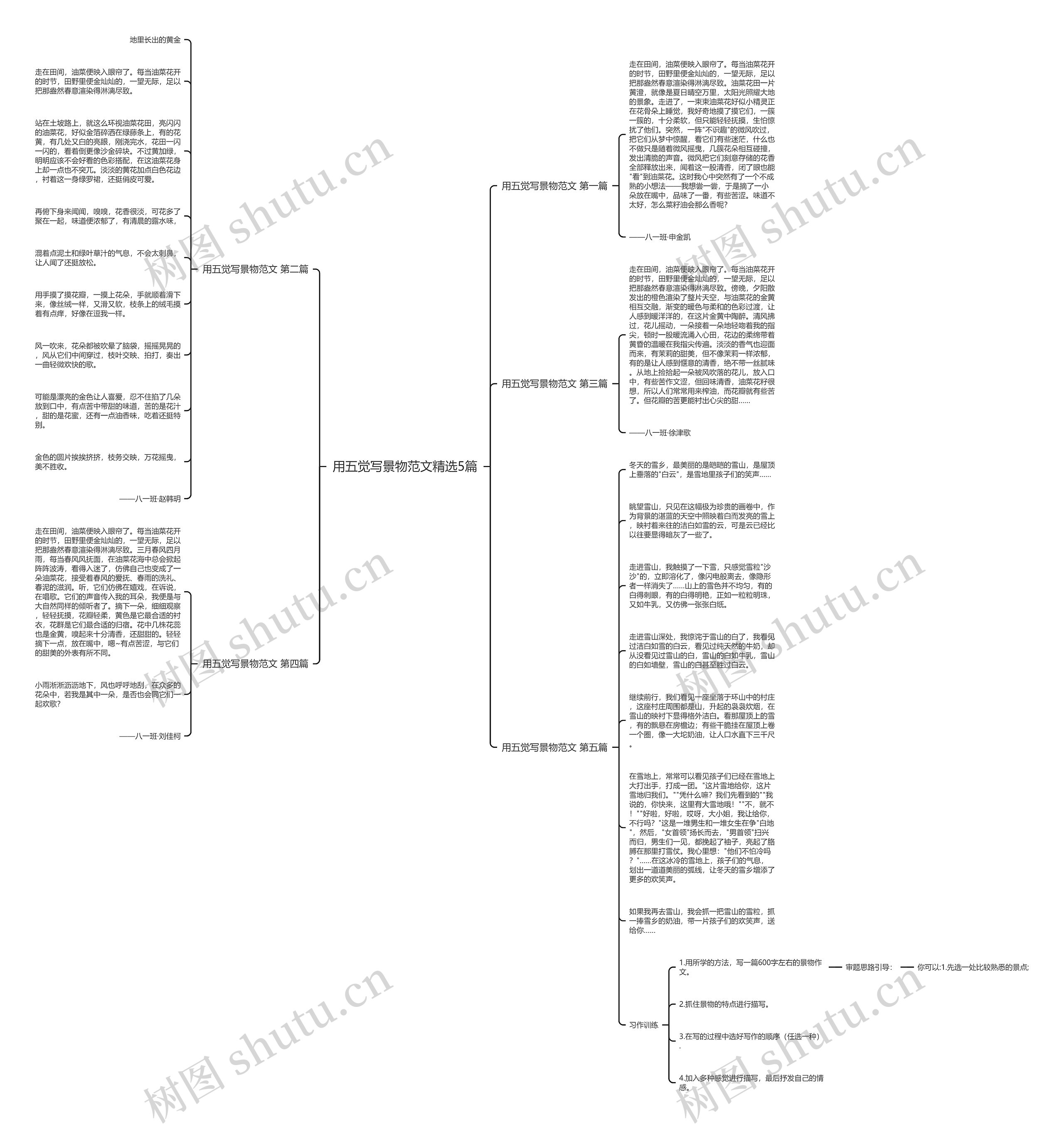 用五觉写景物范文精选5篇思维导图