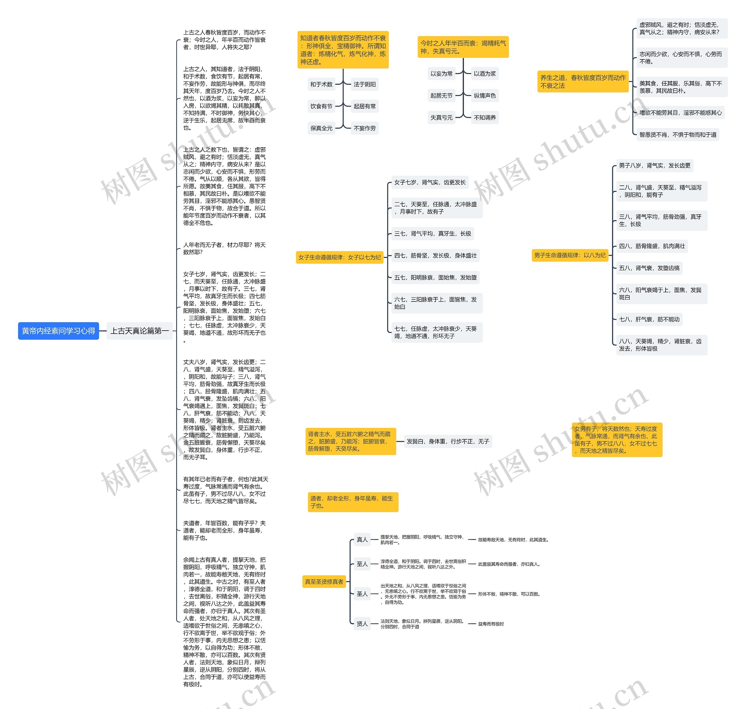 黄帝内经素问之【上古天真论第一】学习心得思维导图