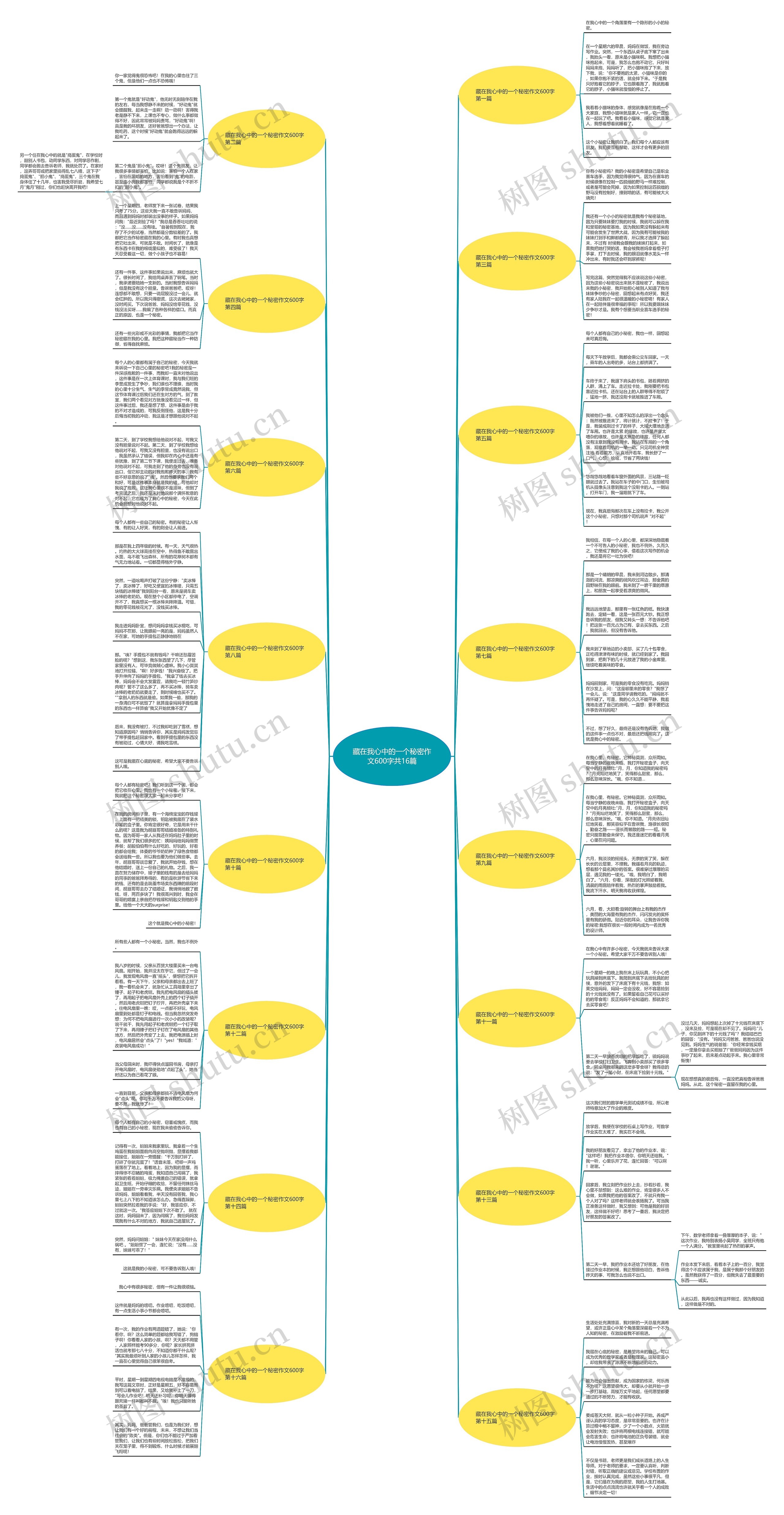 藏在我心中的一个秘密作文600字共16篇思维导图