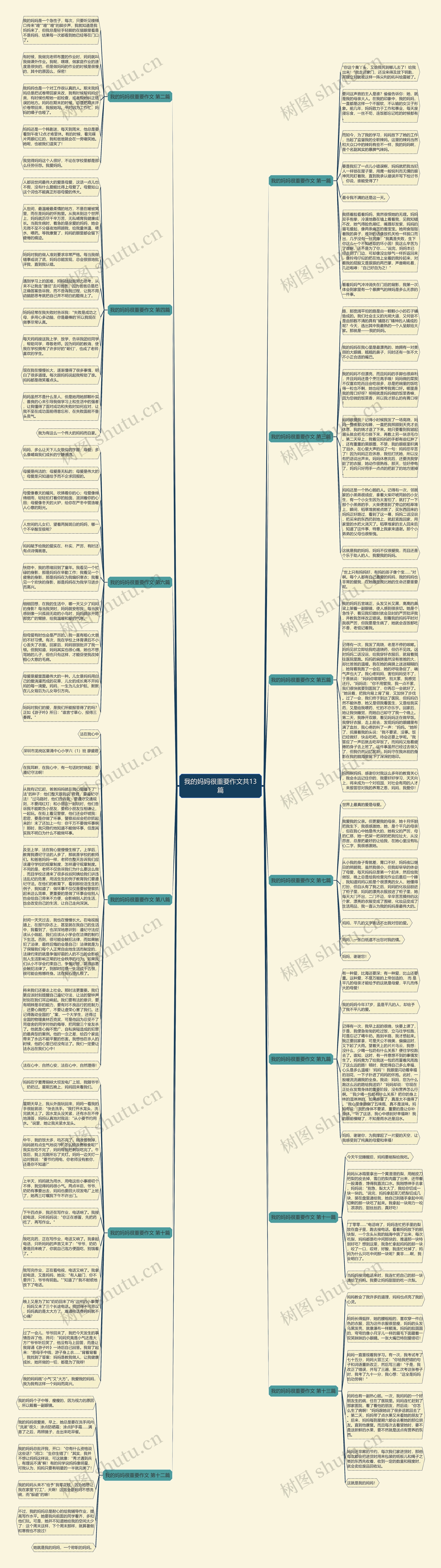 我的妈妈很重要作文共13篇思维导图