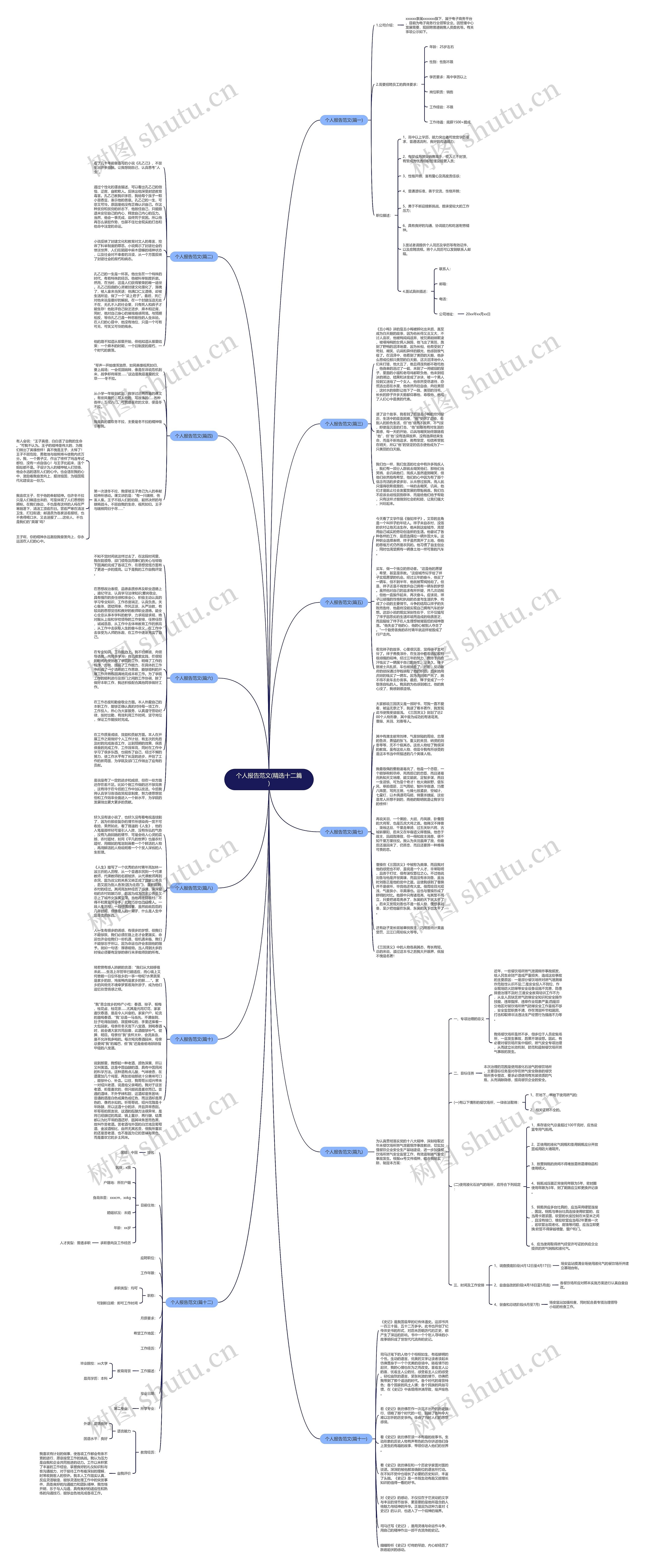 个人报告范文(精选十二篇)思维导图