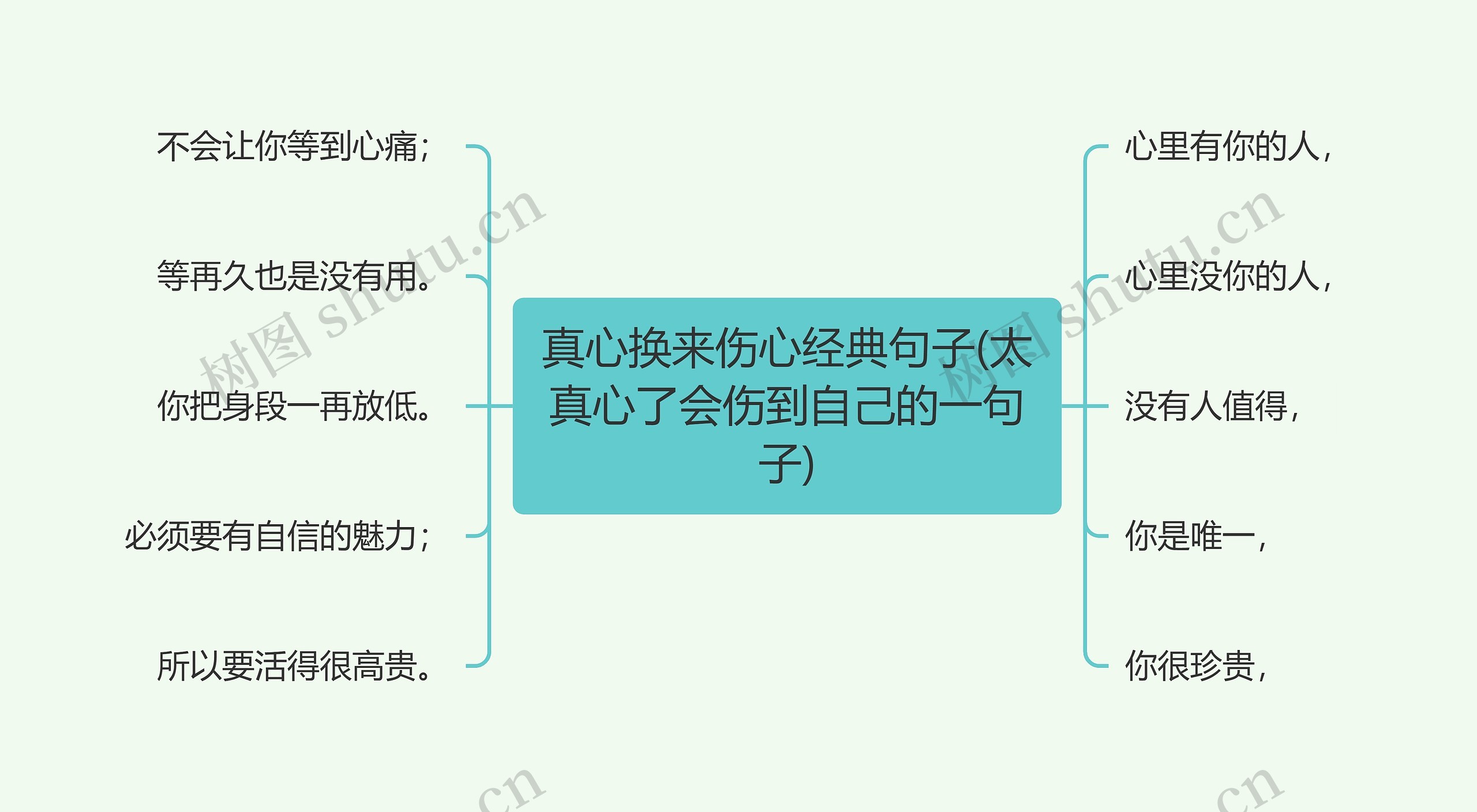 真心换来伤心经典句子(太真心了会伤到自己的一句子)思维导图