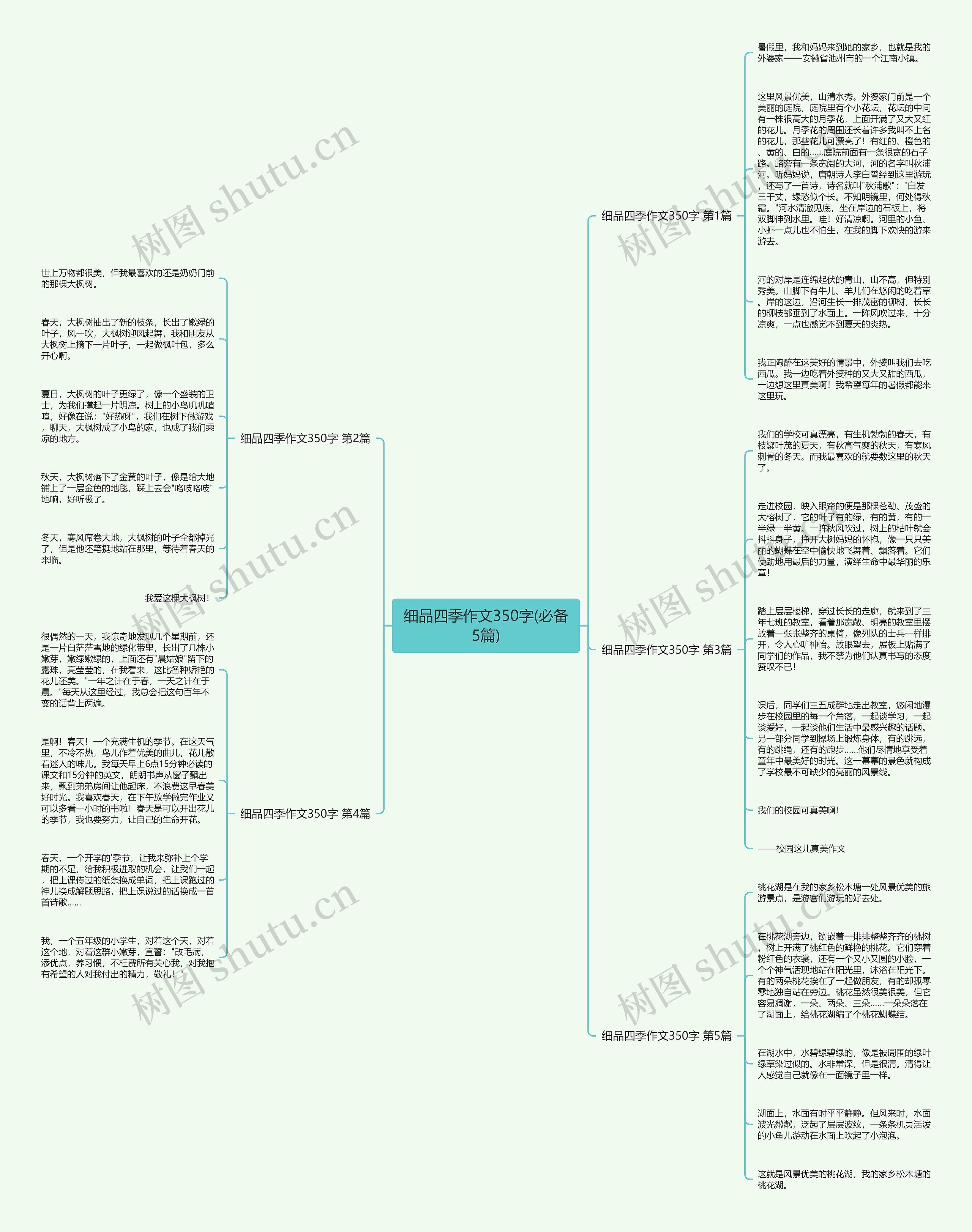 细品四季作文350字(必备5篇)思维导图