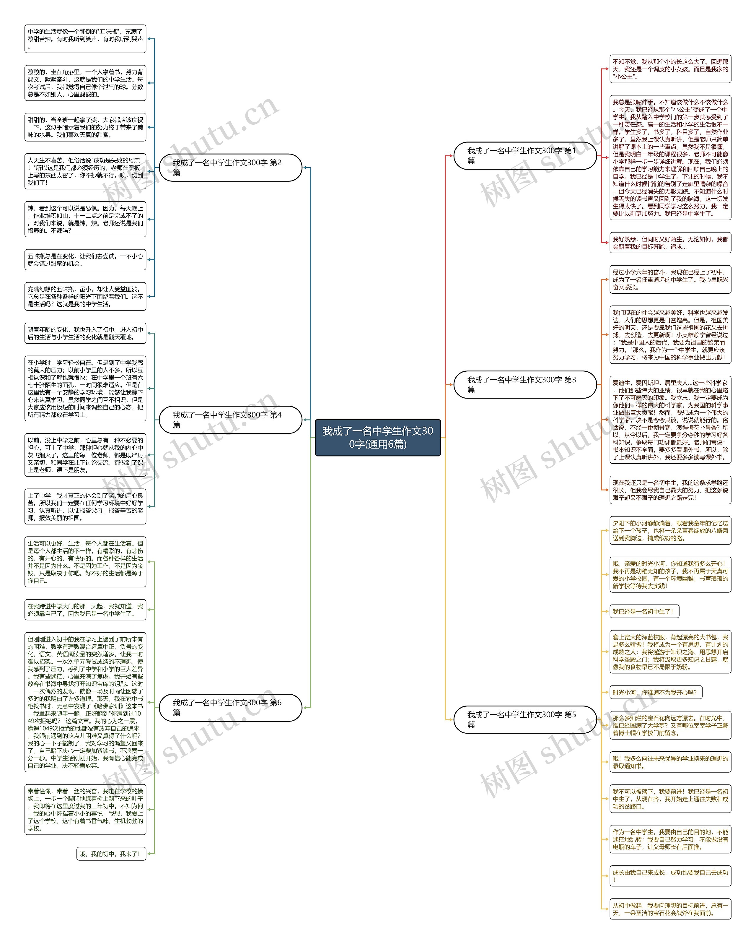 我成了一名中学生作文300字(通用6篇)思维导图