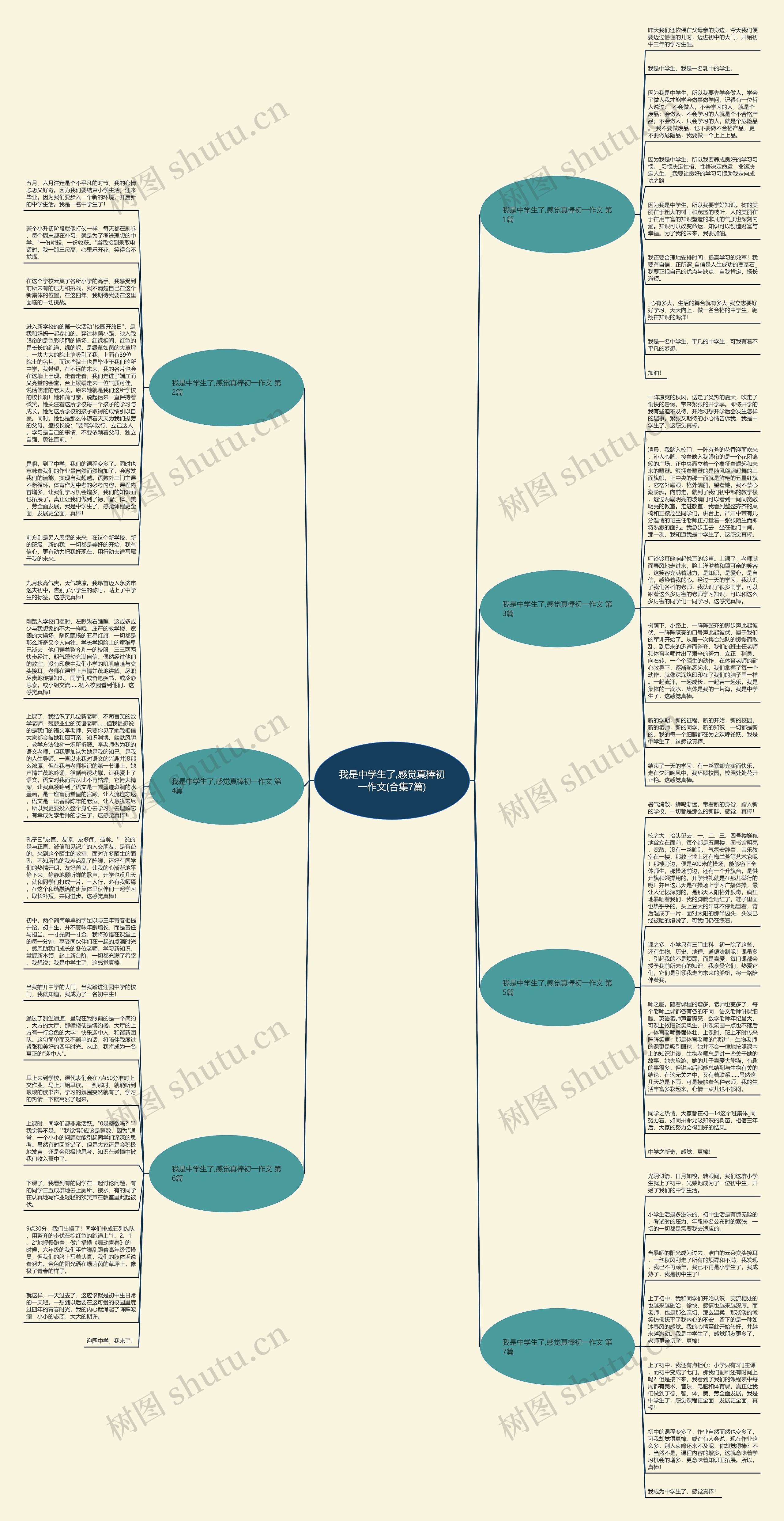 我是中学生了,感觉真棒初一作文(合集7篇)思维导图