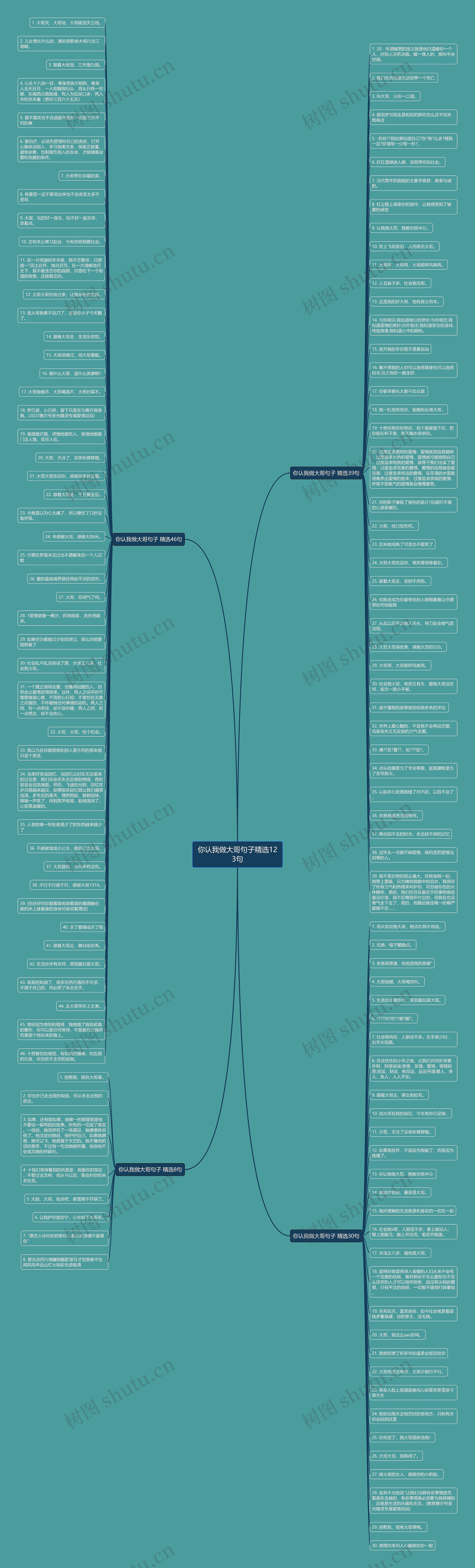 你认我做大哥句子精选123句思维导图
