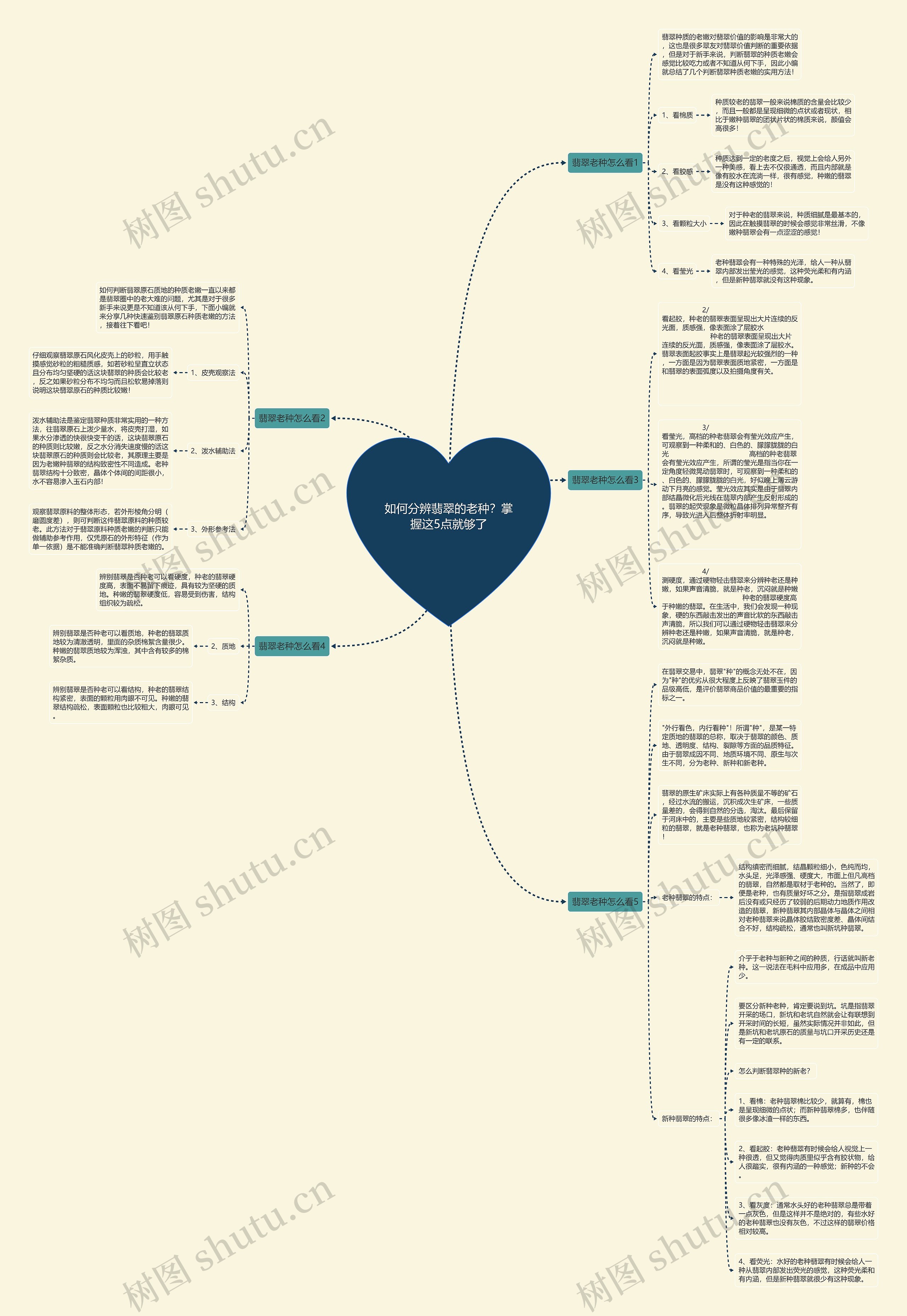 如何分辨翡翠的老种？掌握这5点就够了思维导图
