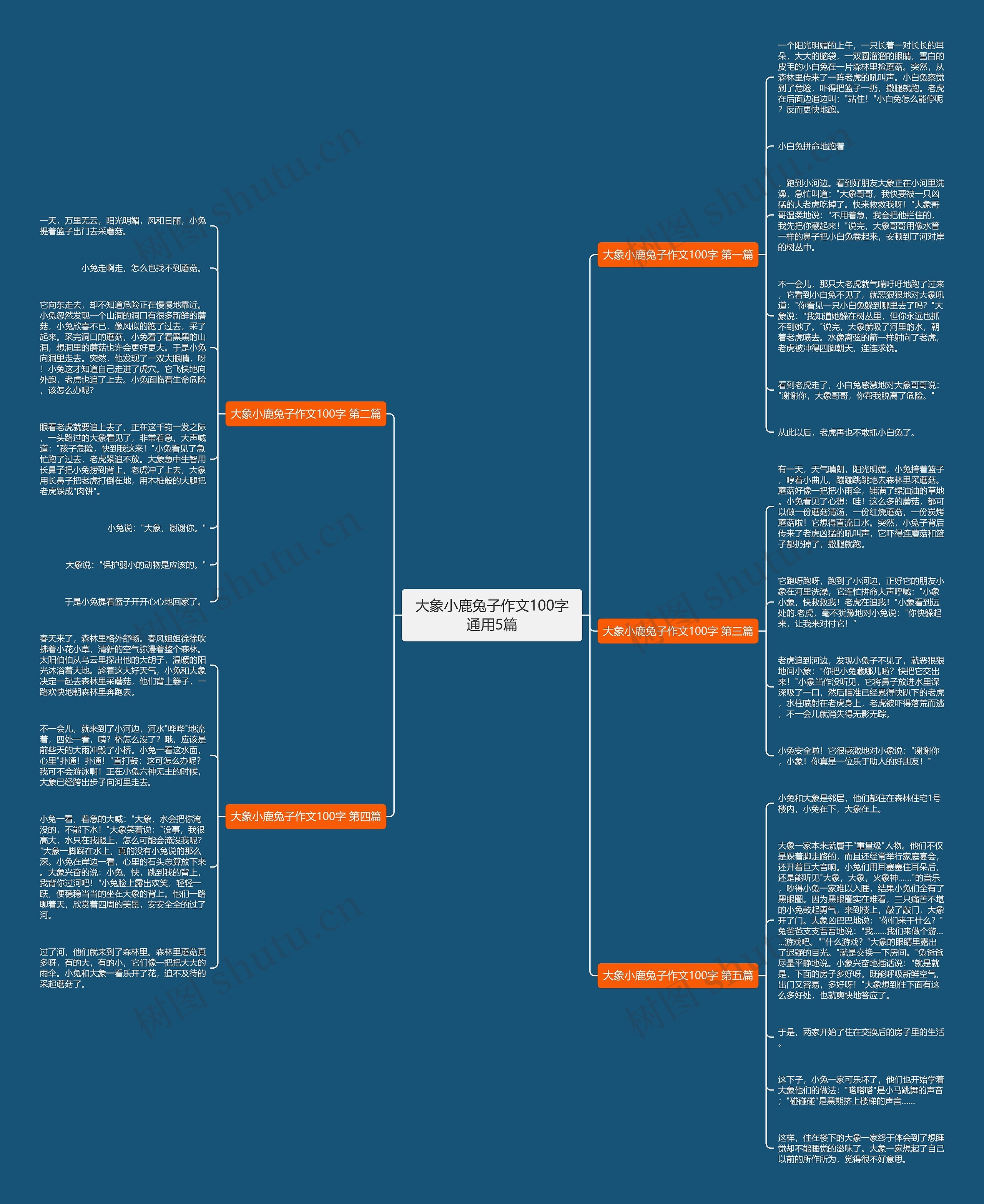 大象小鹿兔子作文100字通用5篇 大象小鹿兔子作文100字通用5篇