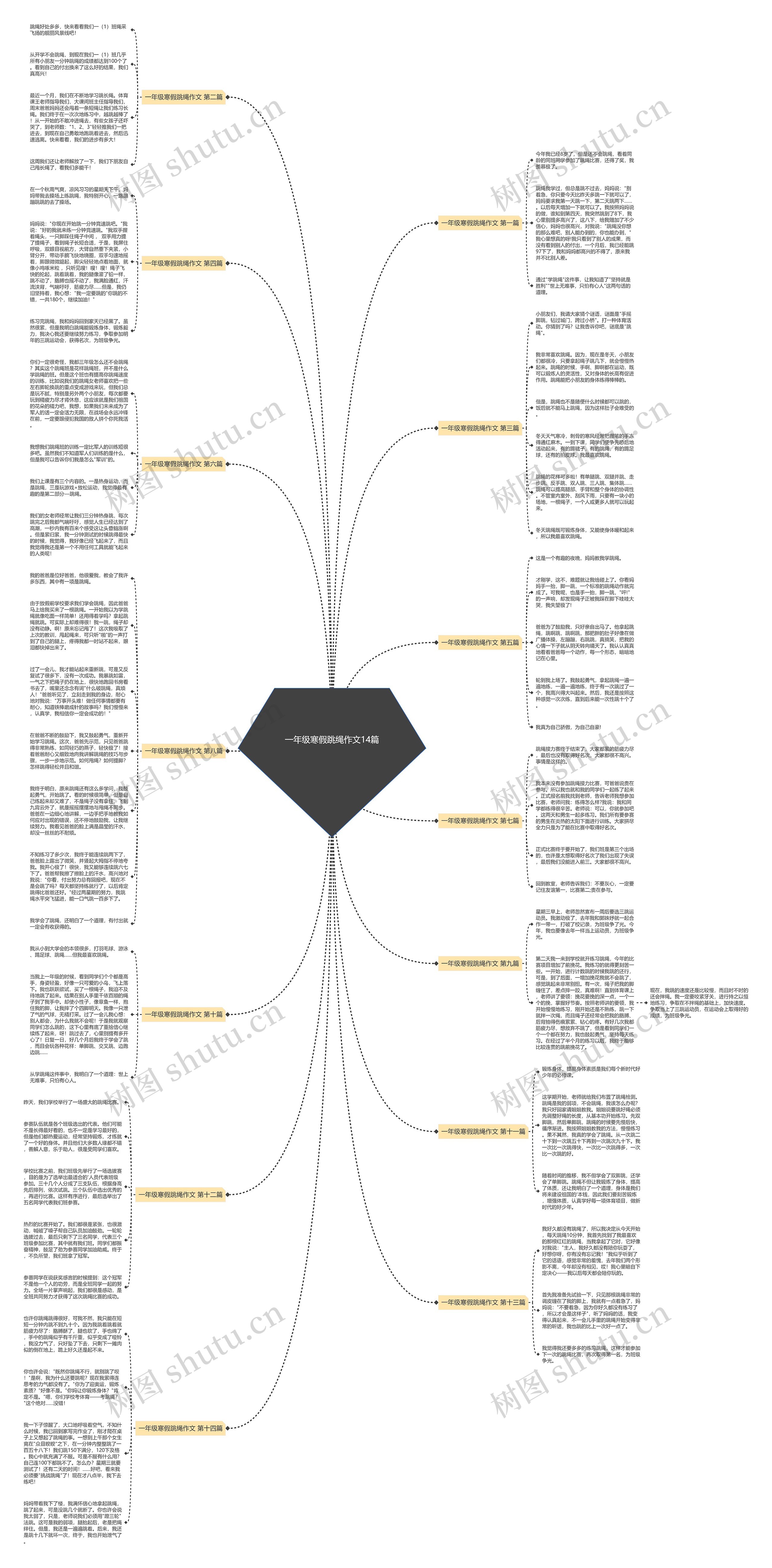 一年级寒假跳绳作文14篇思维导图