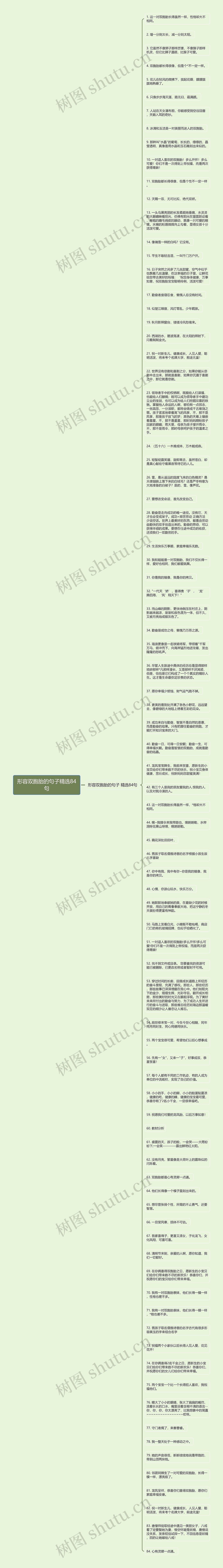 形容双胞胎的句子精选84句思维导图