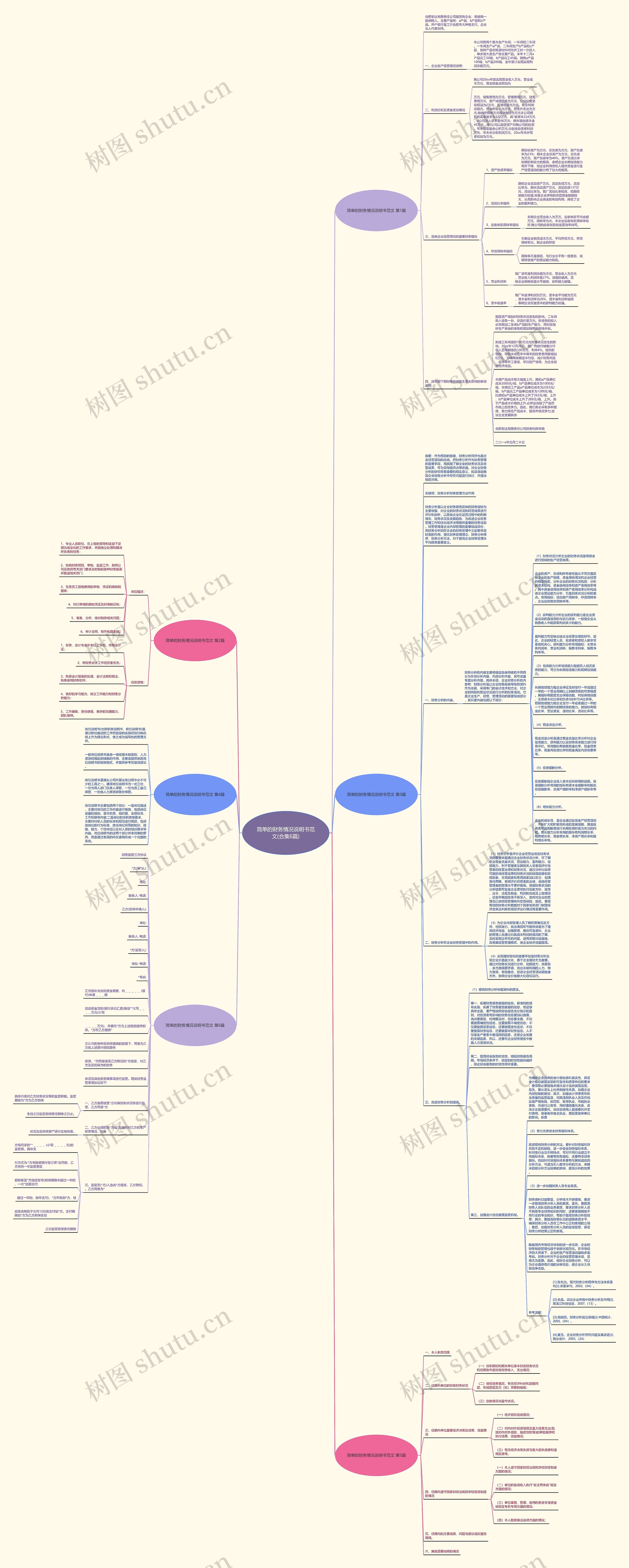 简单的财务情况说明书范文(合集6篇)思维导图