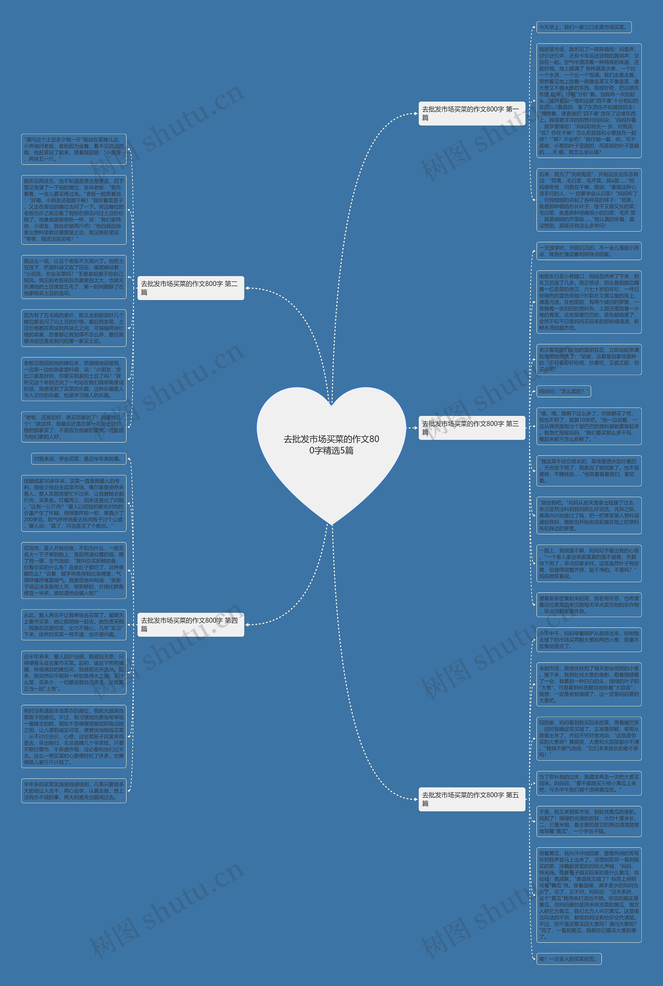 去批发市场买菜的作文800字精选5篇思维导图