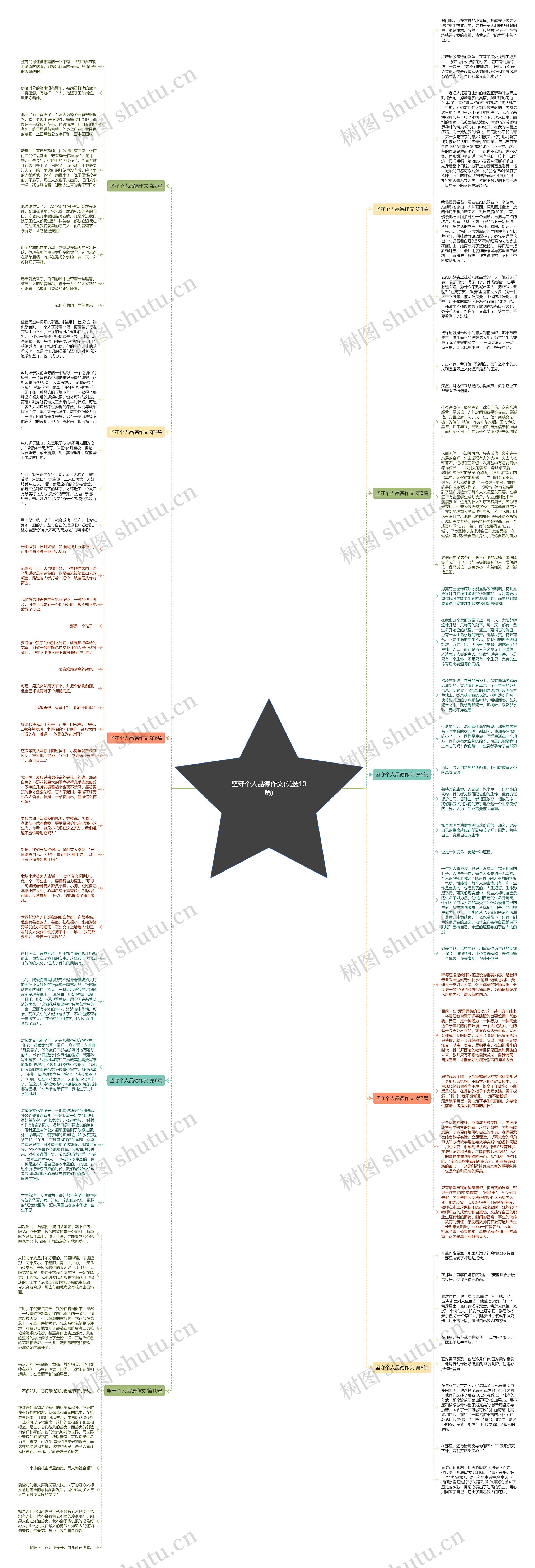 坚守个人品德作文(优选10篇)思维导图