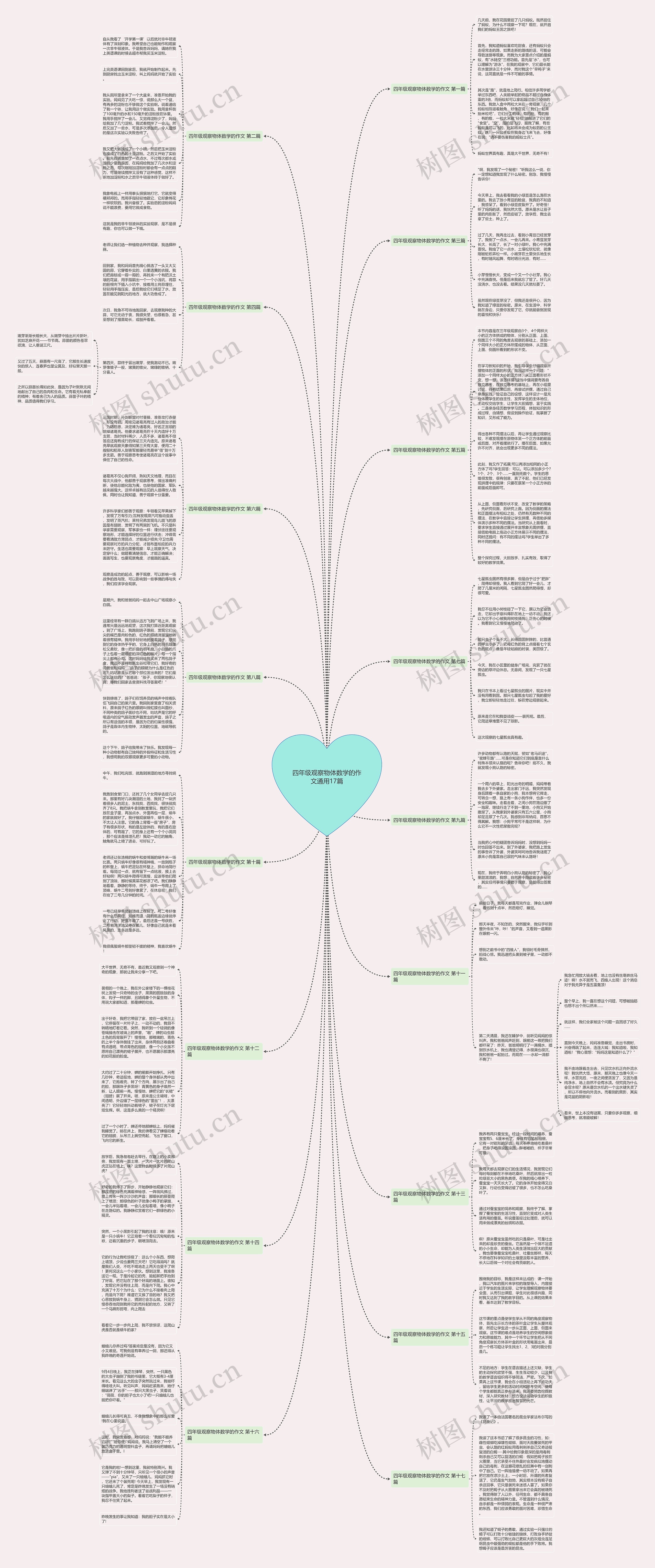 四年级观察物体数学的作文通用17篇思维导图