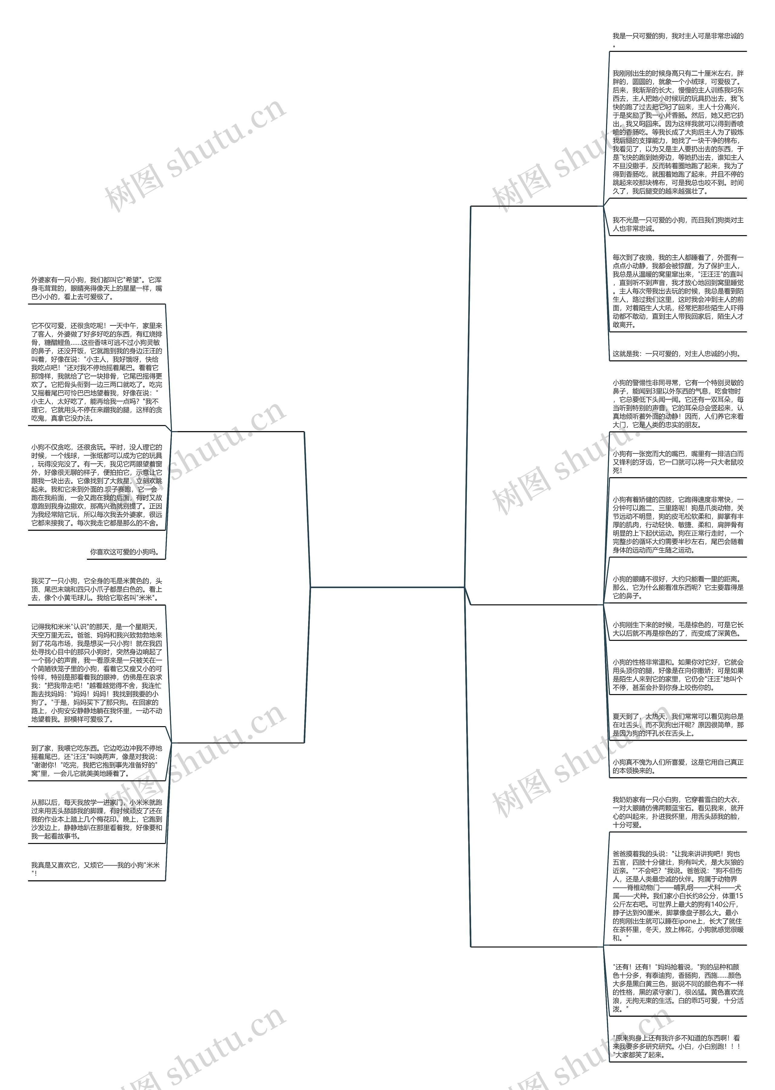 小狗生宝宝的作文500字(推荐5篇)思维导图