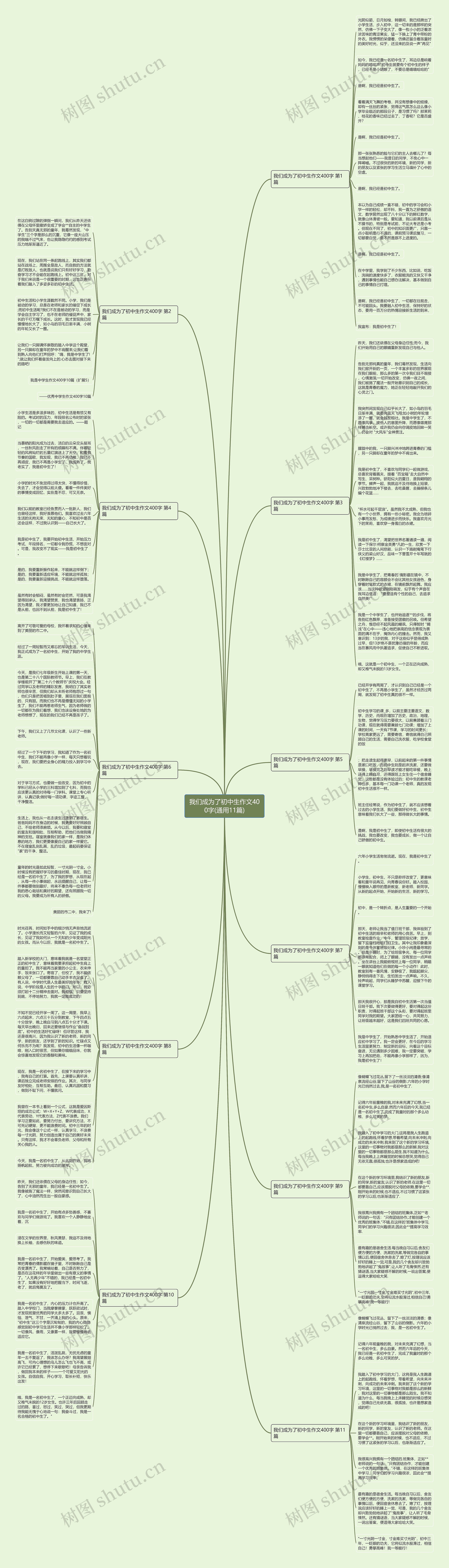 我们成为了初中生作文400字(通用11篇)思维导图