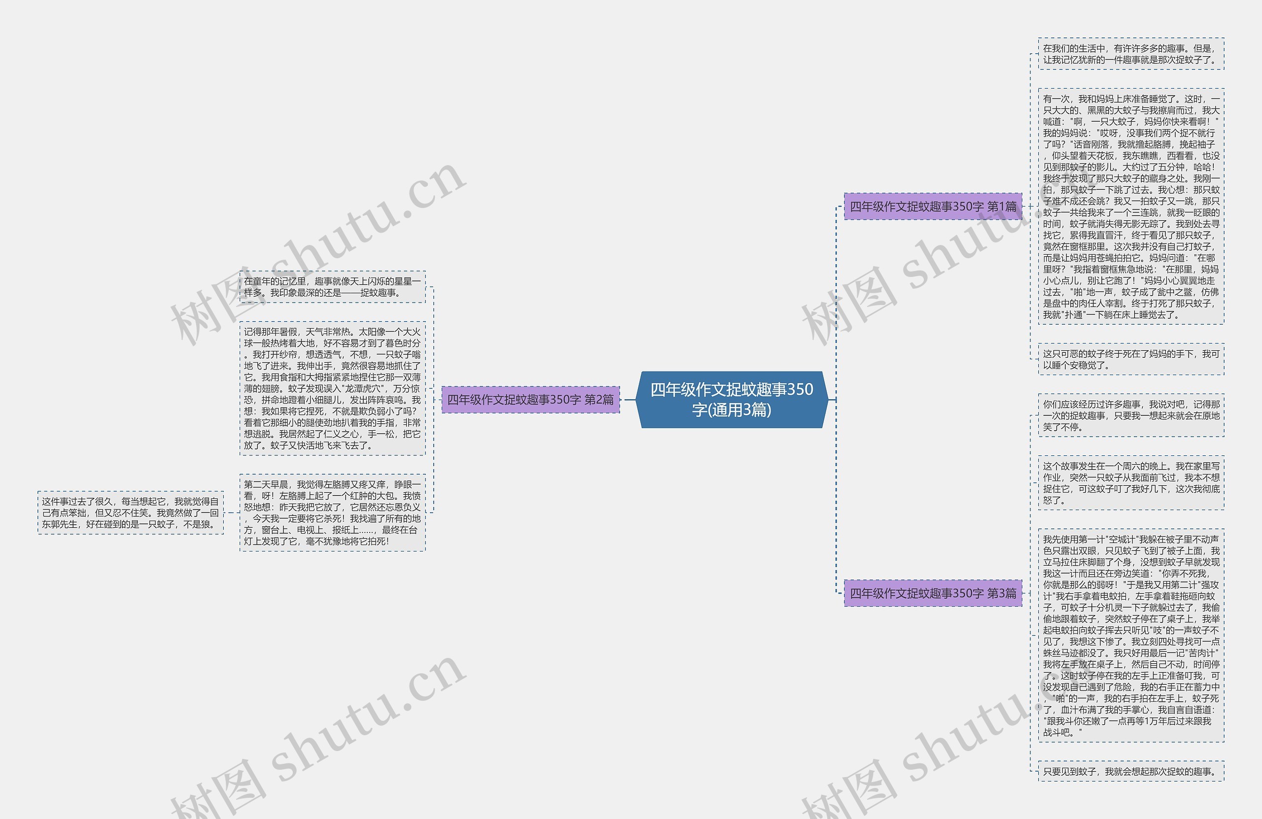 四年级作文捉蚊趣事350字(通用3篇)思维导图