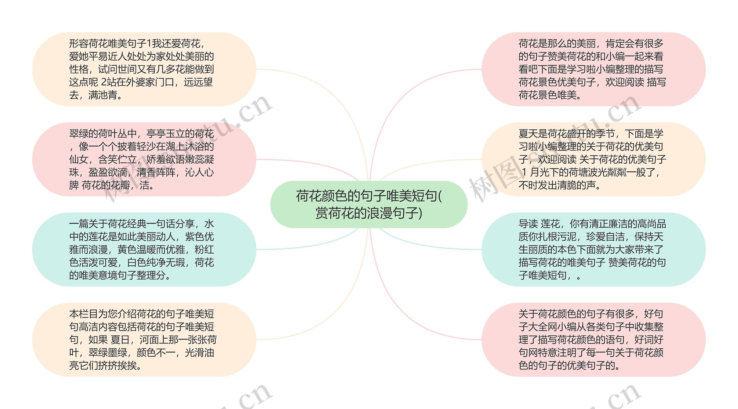 荷花颜色的句子唯美短句(赏荷花的浪漫句子)思维导图