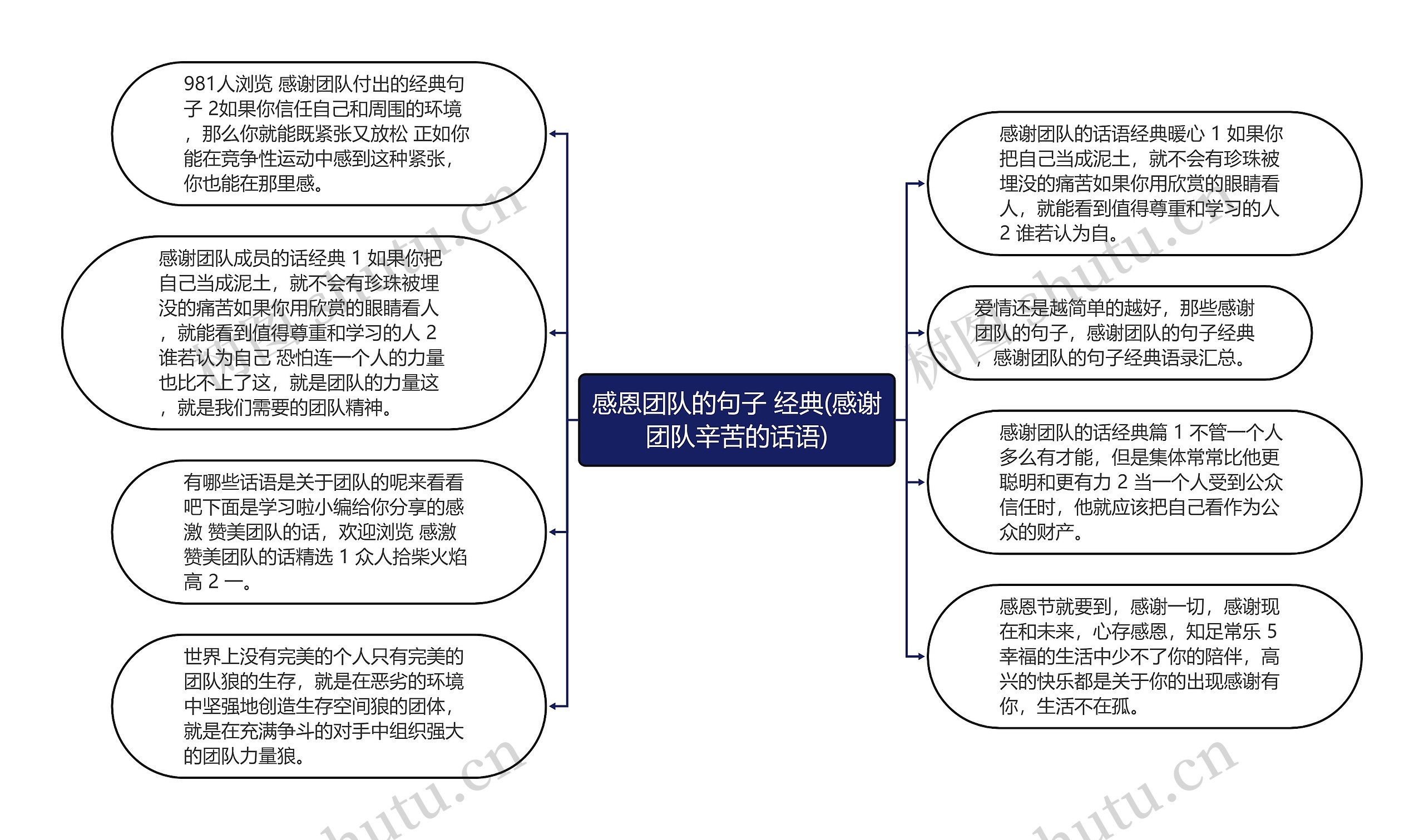 感恩团队的句子 经典(感谢团队辛苦的话语)