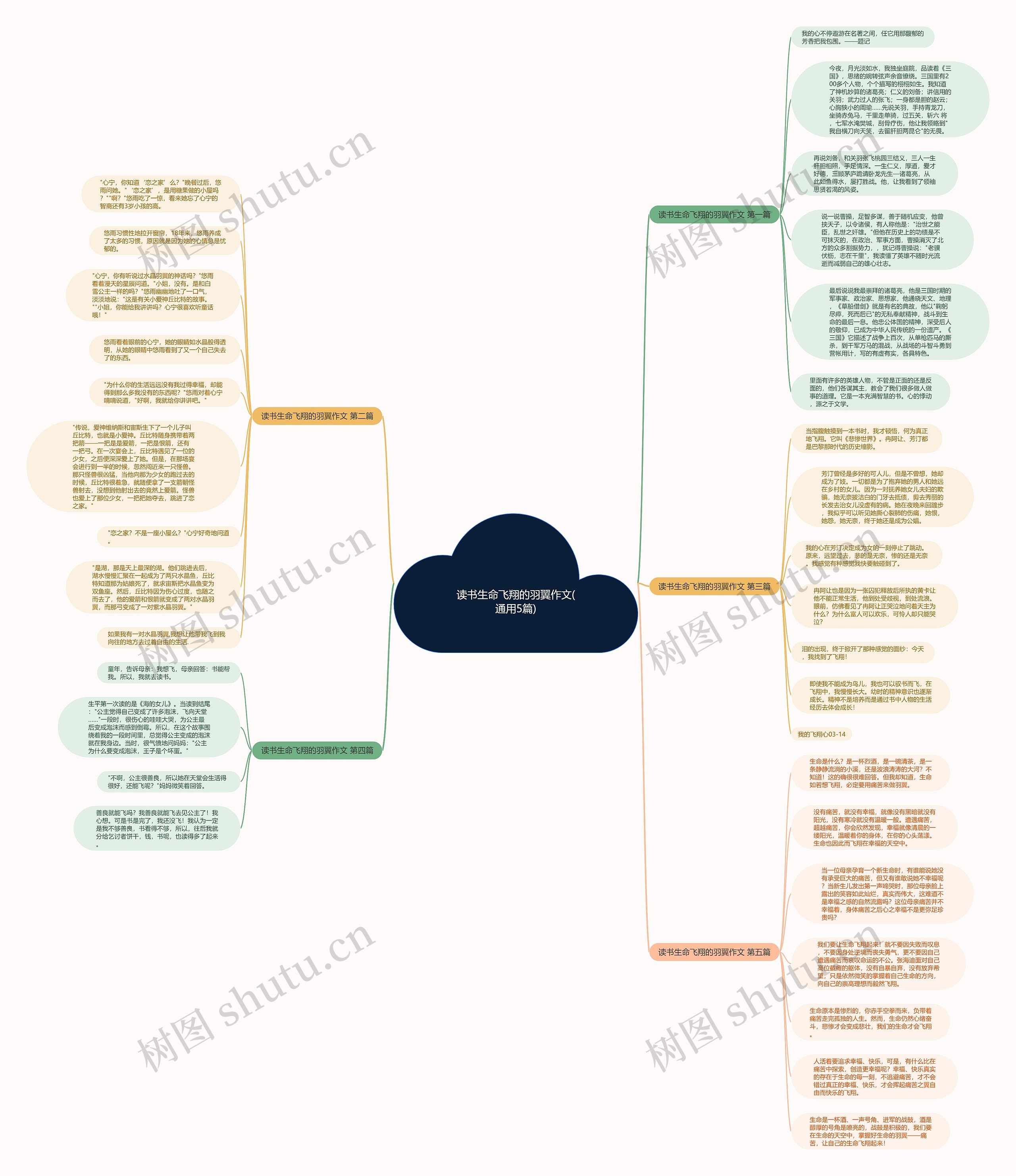 读书生命飞翔的羽翼作文(通用5篇)思维导图