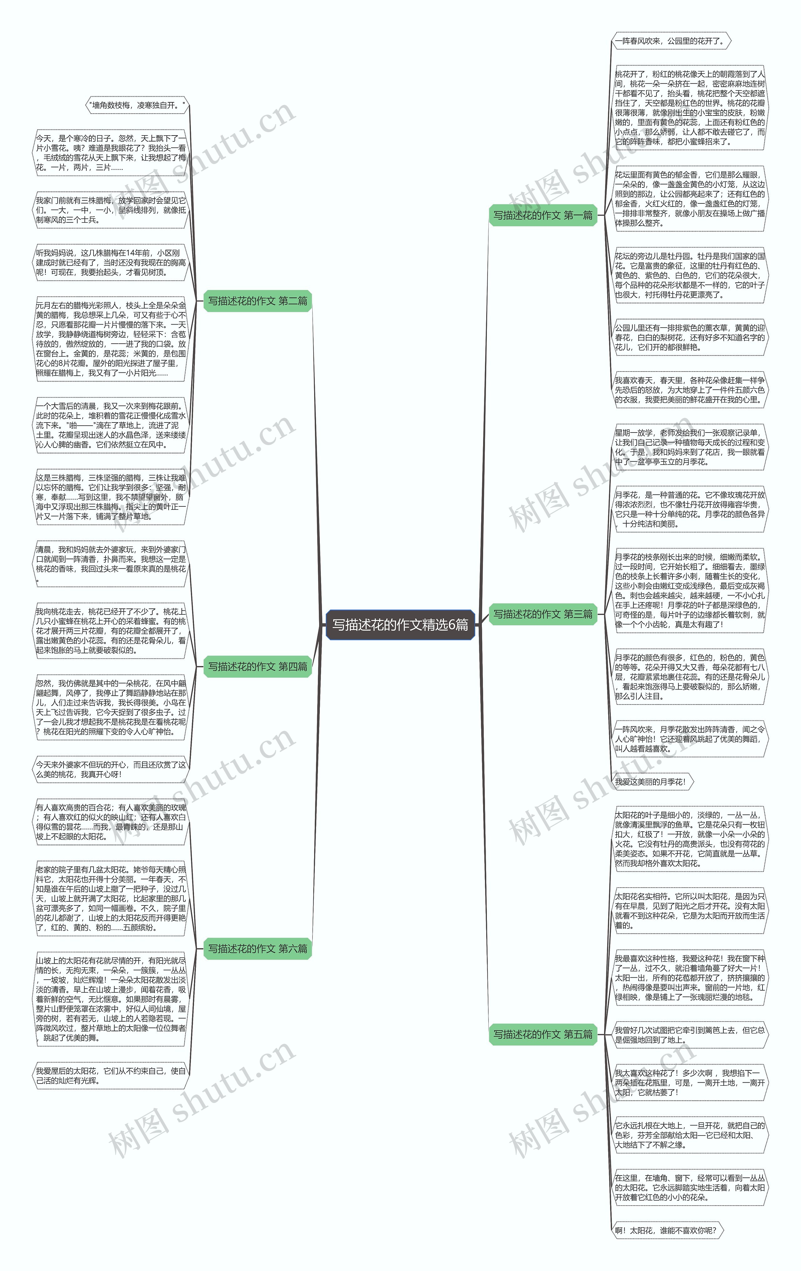 写描述花的作文精选6篇思维导图