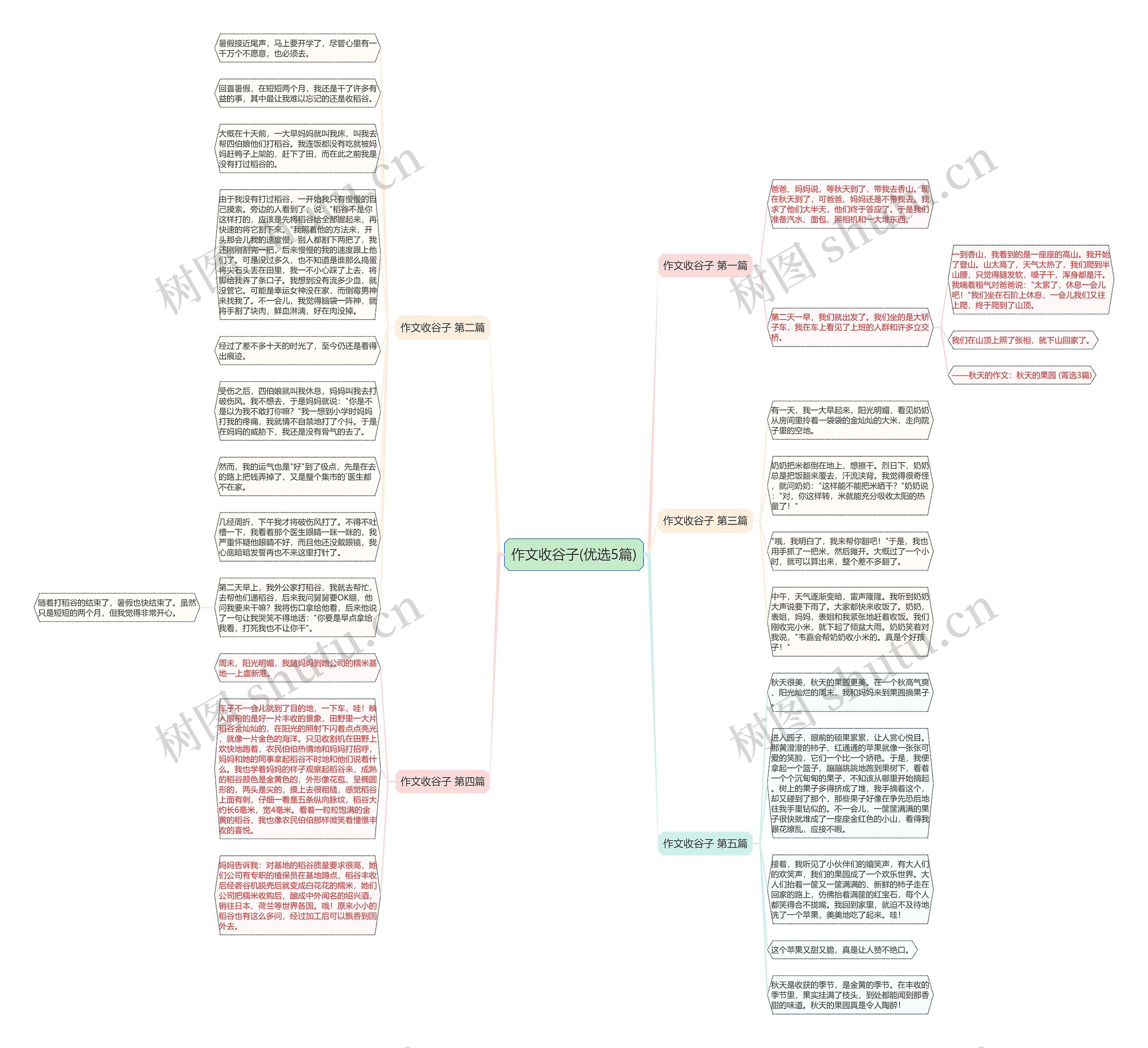 作文收谷子(优选5篇)