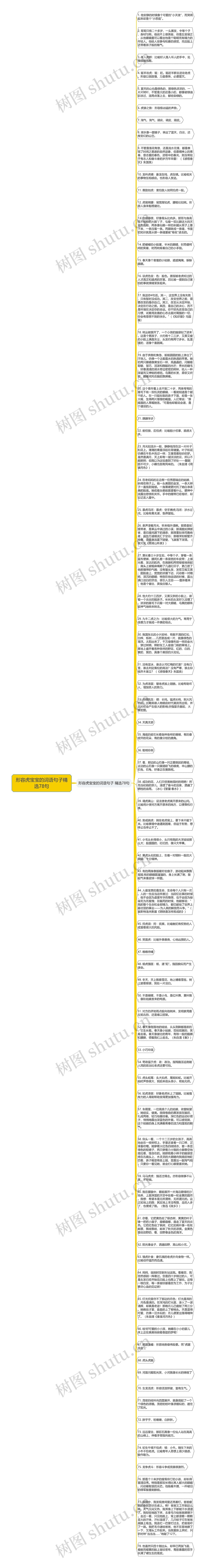 形容虎宝宝的词语句子精选78句