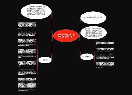 翡翠种老种嫩怎么看？翡翠怎么看种水老不老？