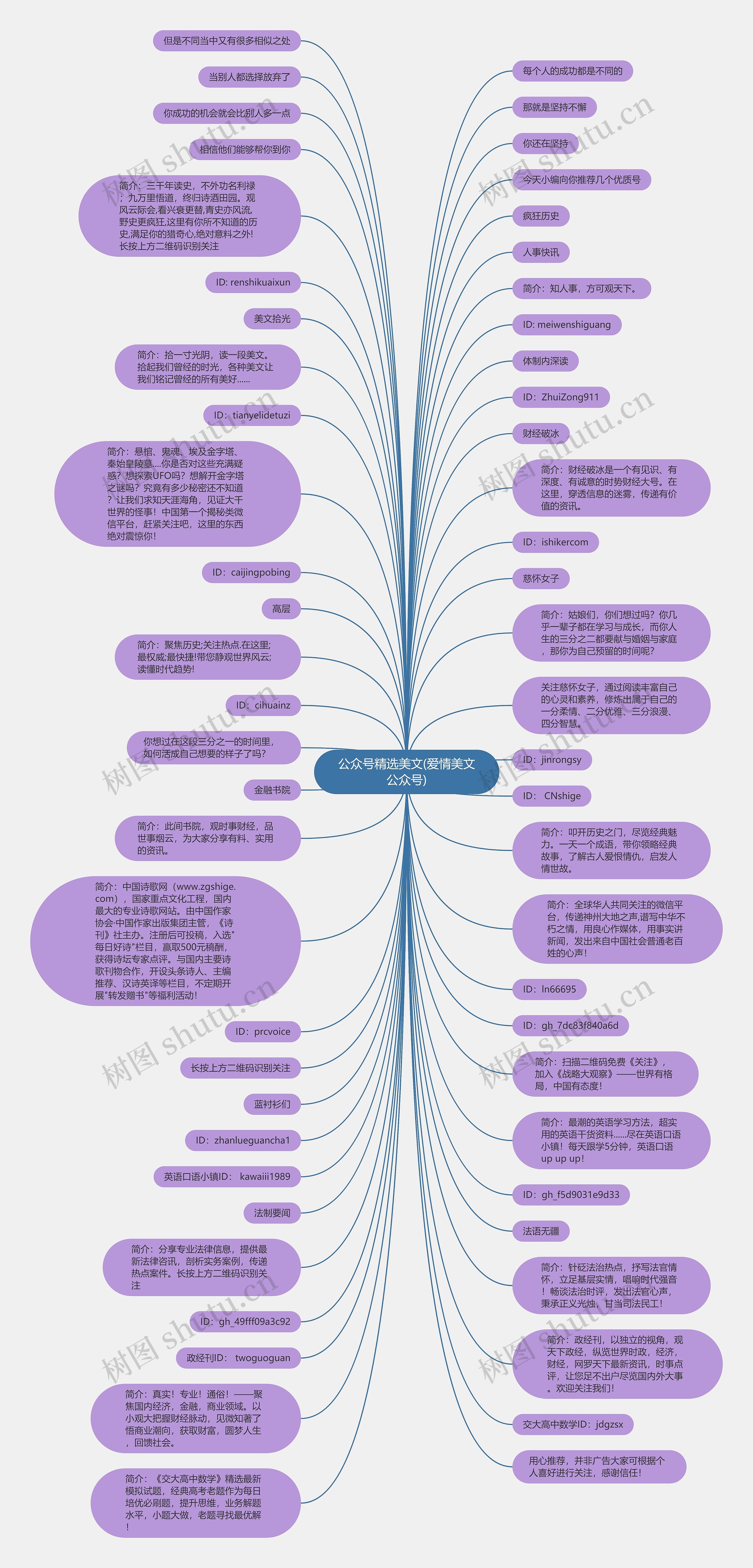 公众号精选美文(爱情美文公众号)思维导图