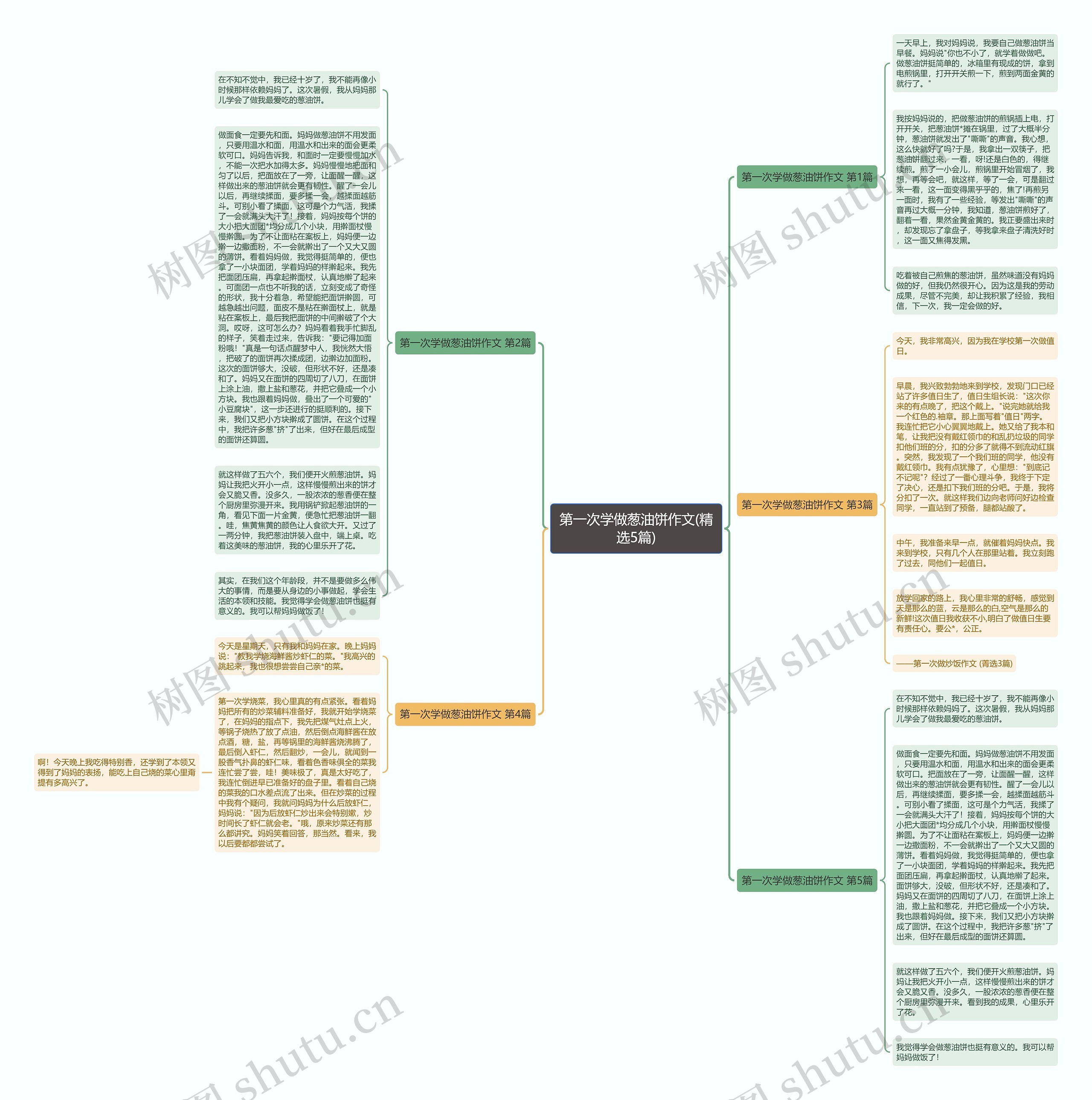 第一次学做葱油饼作文(精选5篇)思维导图
