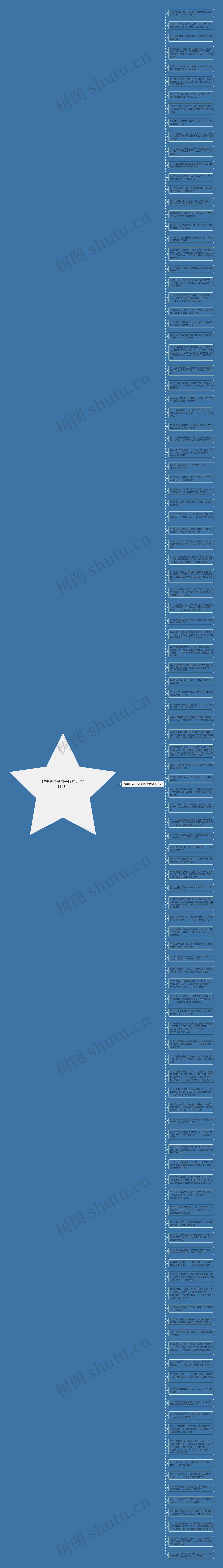 唯美长句子句子摘抄大全(111句)思维导图