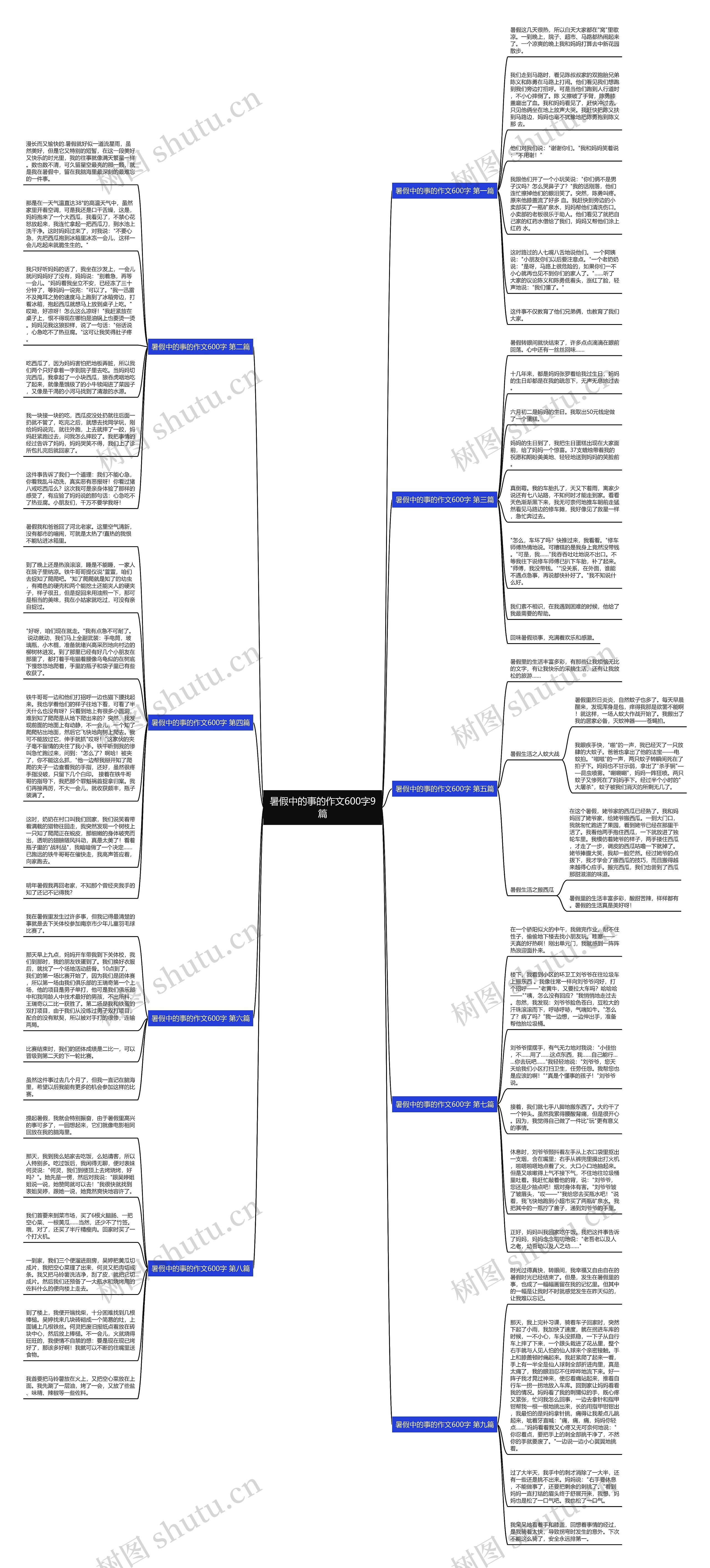 暑假中的事的作文600字9篇思维导图