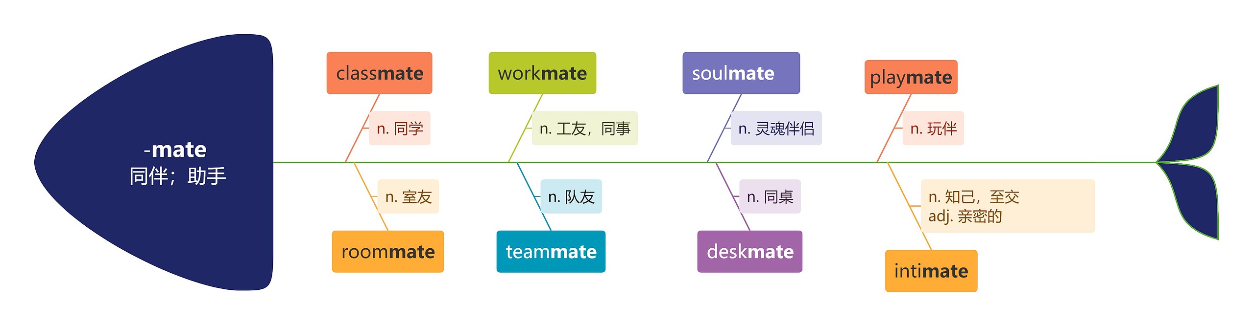 -mate同伴；助手