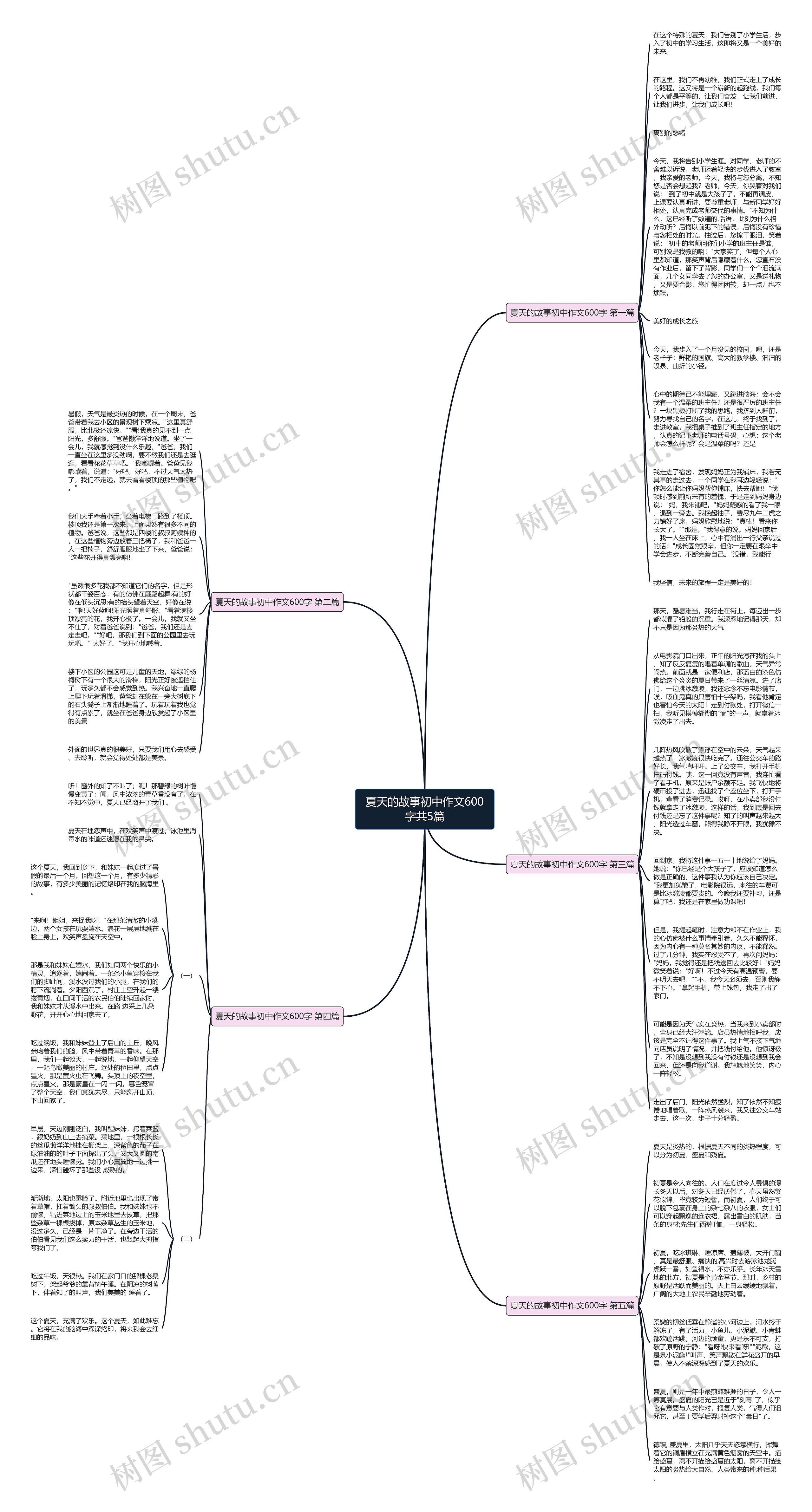 夏天的故事初中作文600字共5篇思维导图