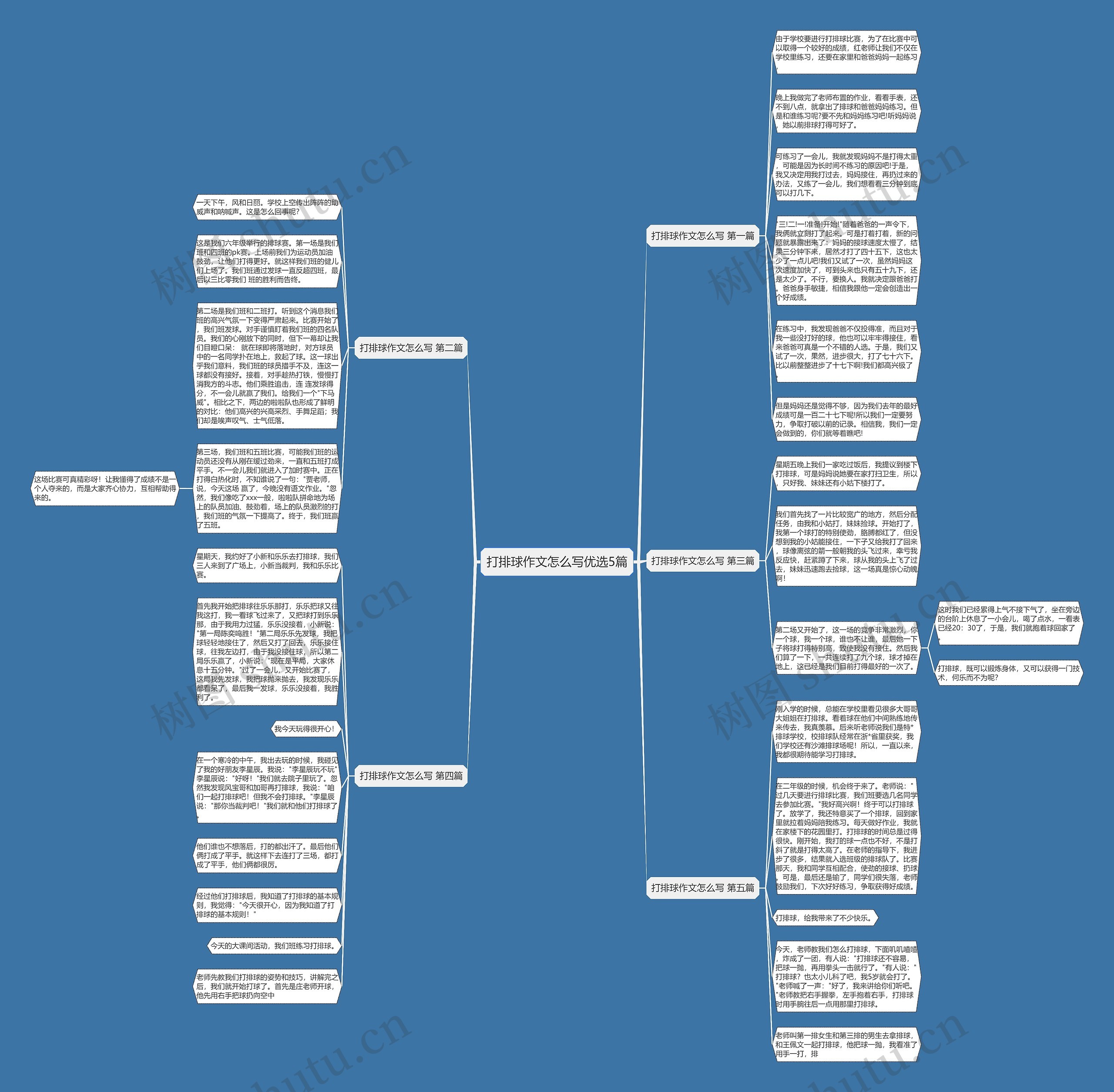 打排球作文怎么写优选5篇 打排球作文怎么写优选5篇