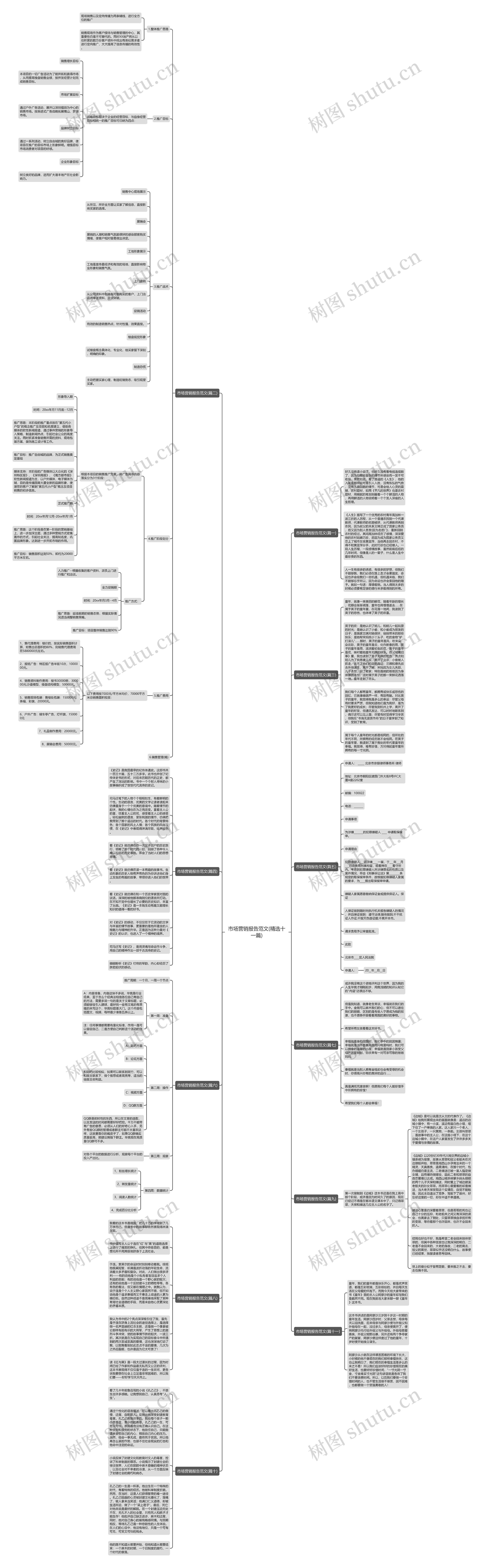 市场营销报告范文(精选十一篇)思维导图